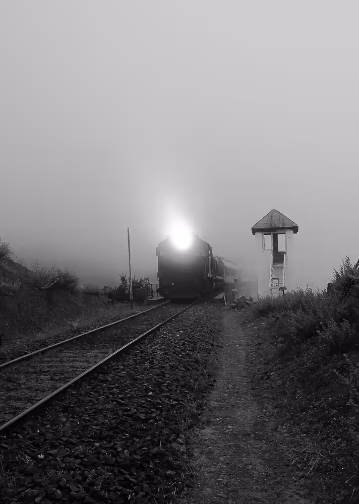 Landscape in the Mist
