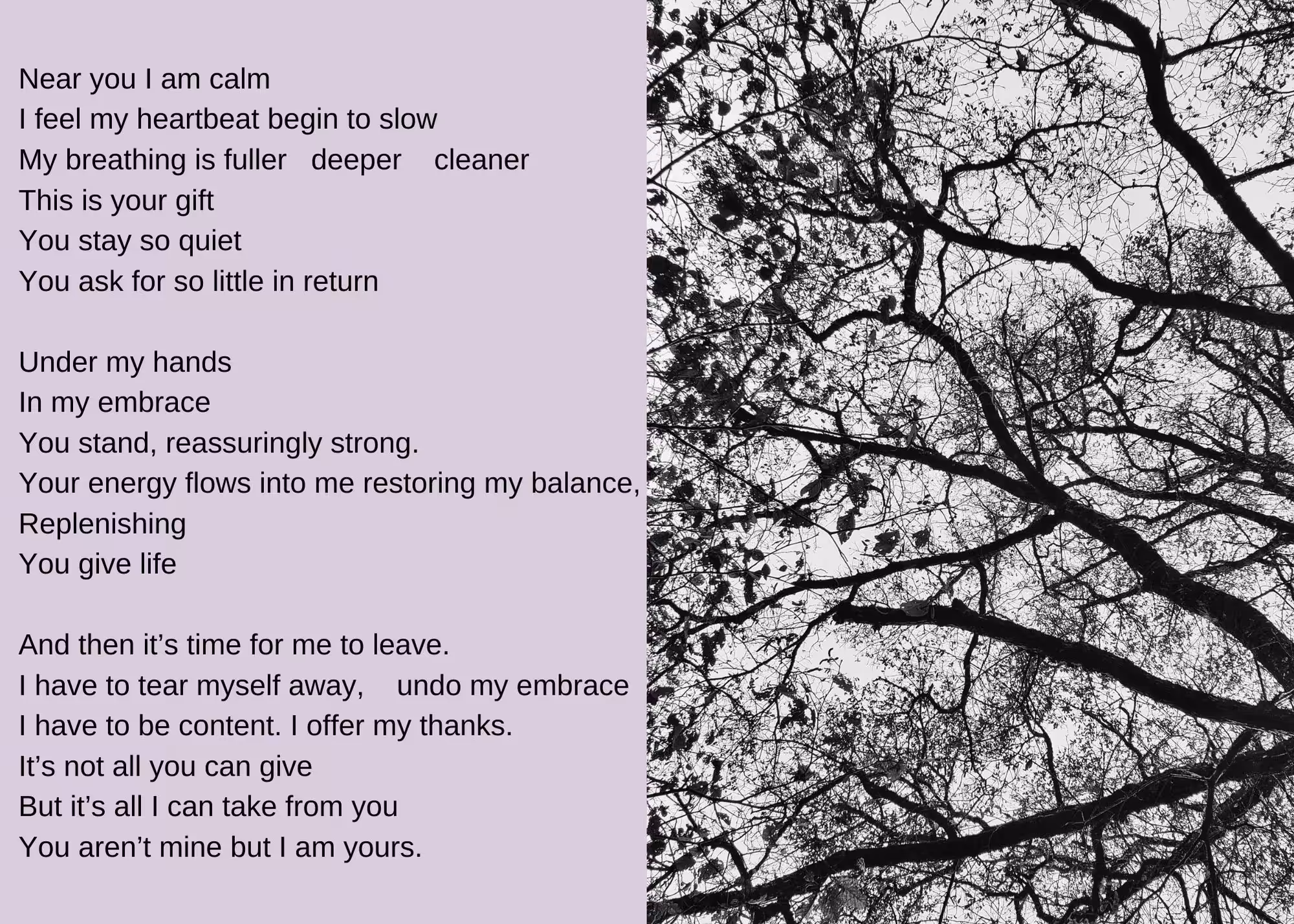 Near You I Am Calm
