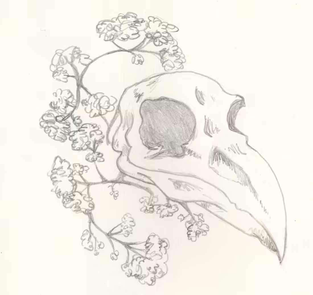 Sketchbook