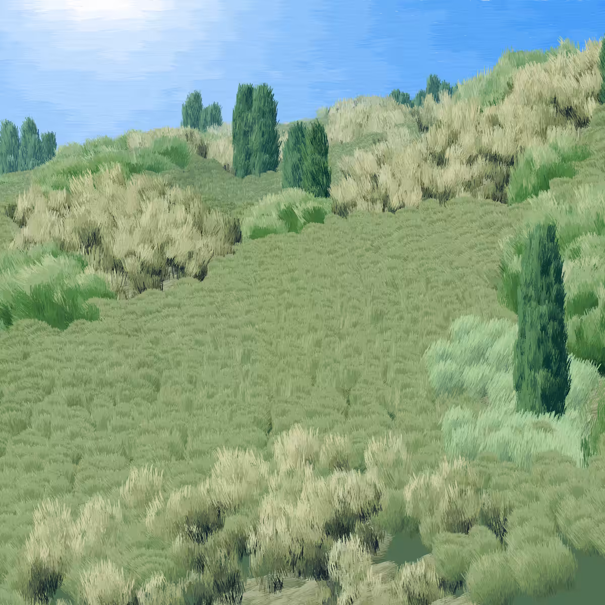 Provence #409