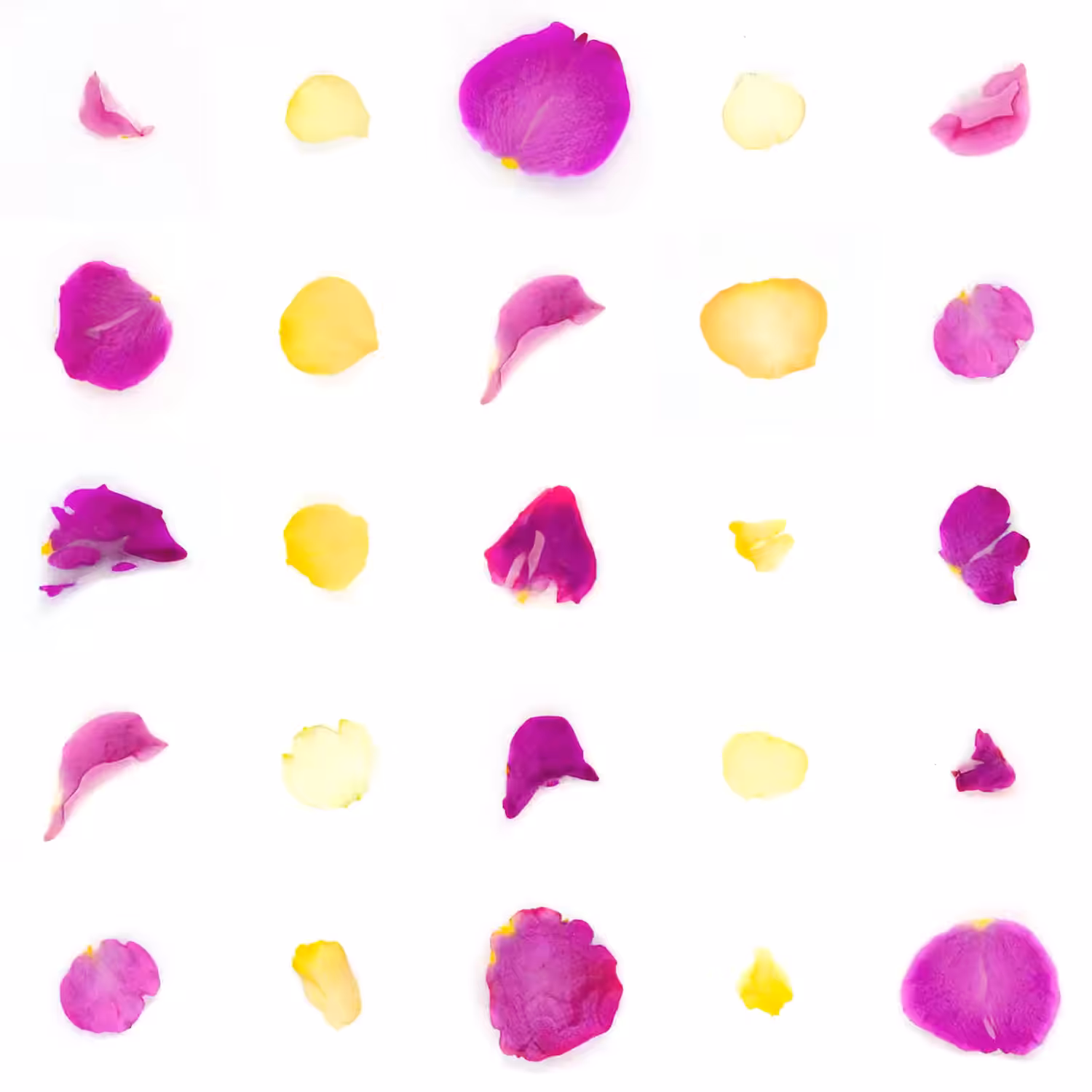 Infinite Petals 5x5#20133