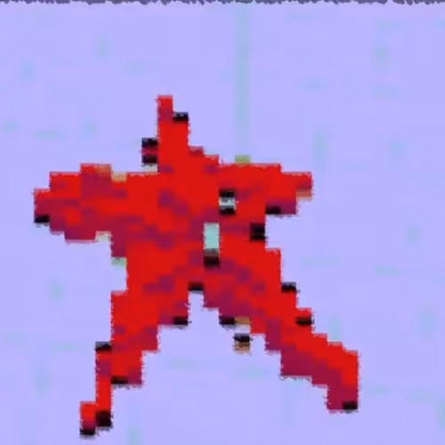 Voxel starfish