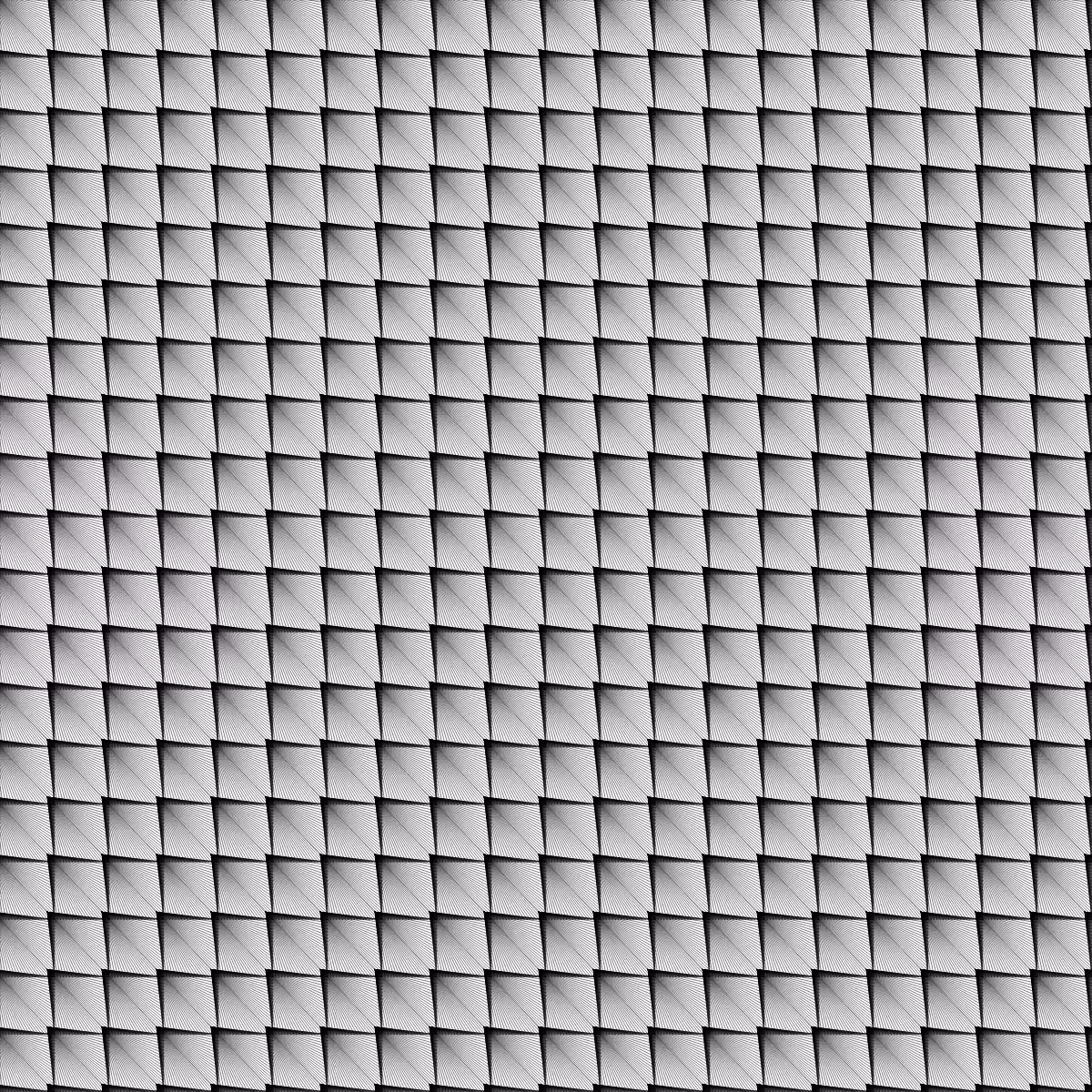 Noir et Blanc #106