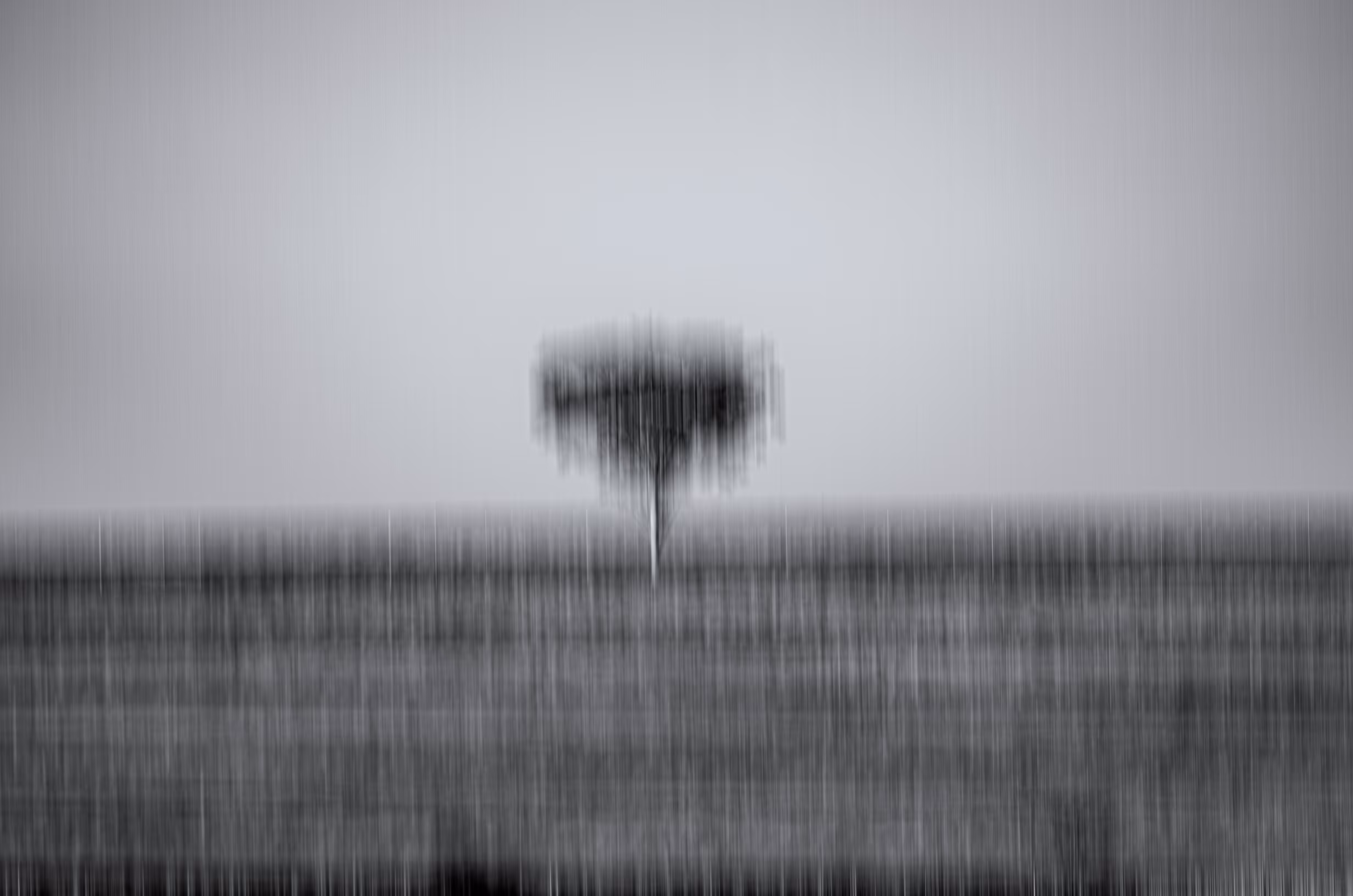 In focus?