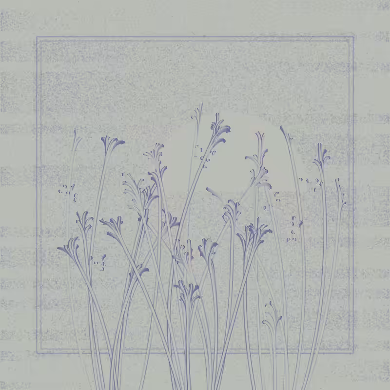 string_pllu #96