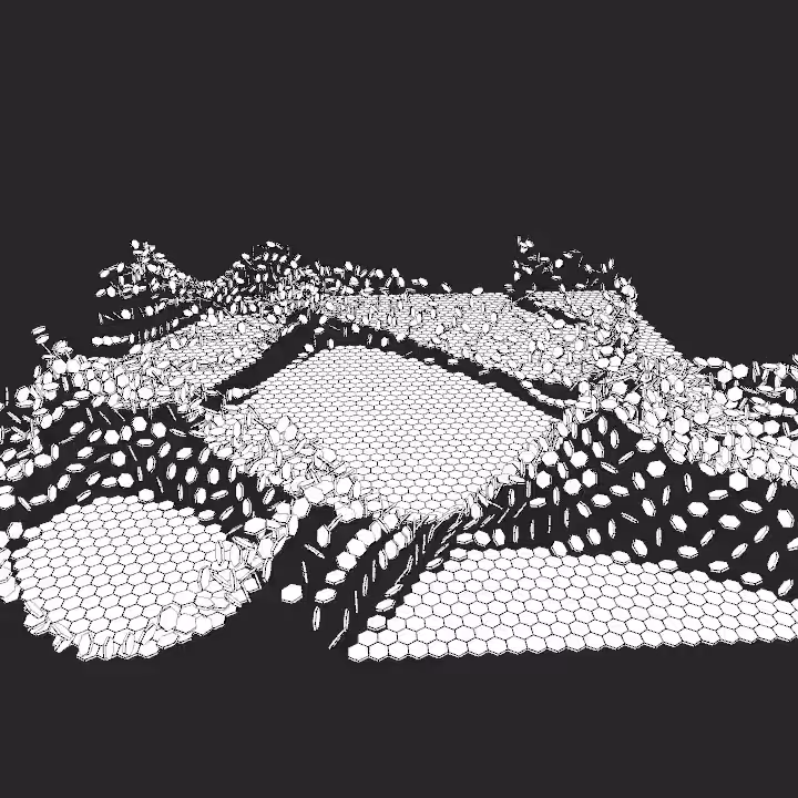 DoodleDeProgramming_20250203