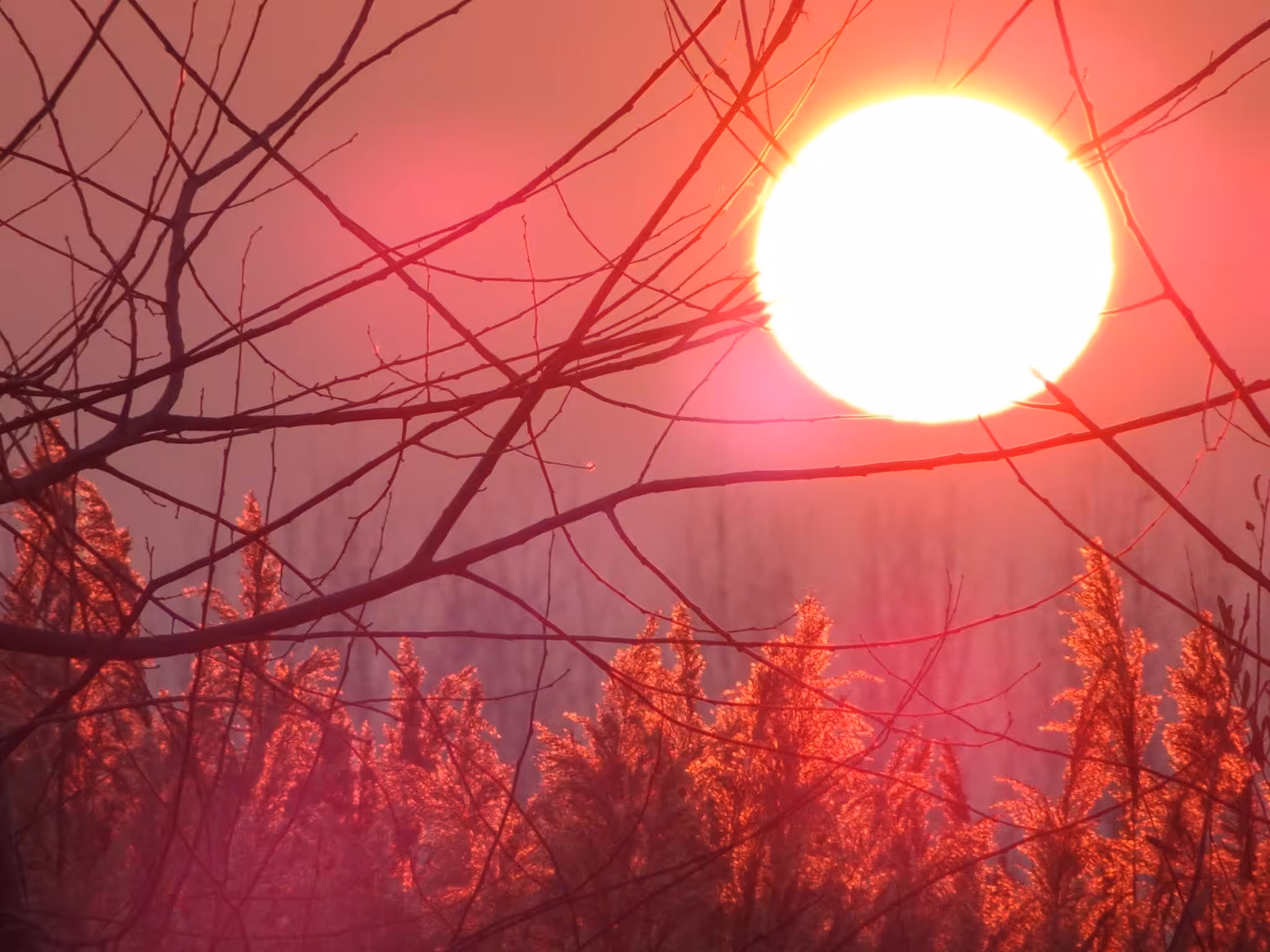 May the Sun shine on you and heal your mind, body and spirit. 