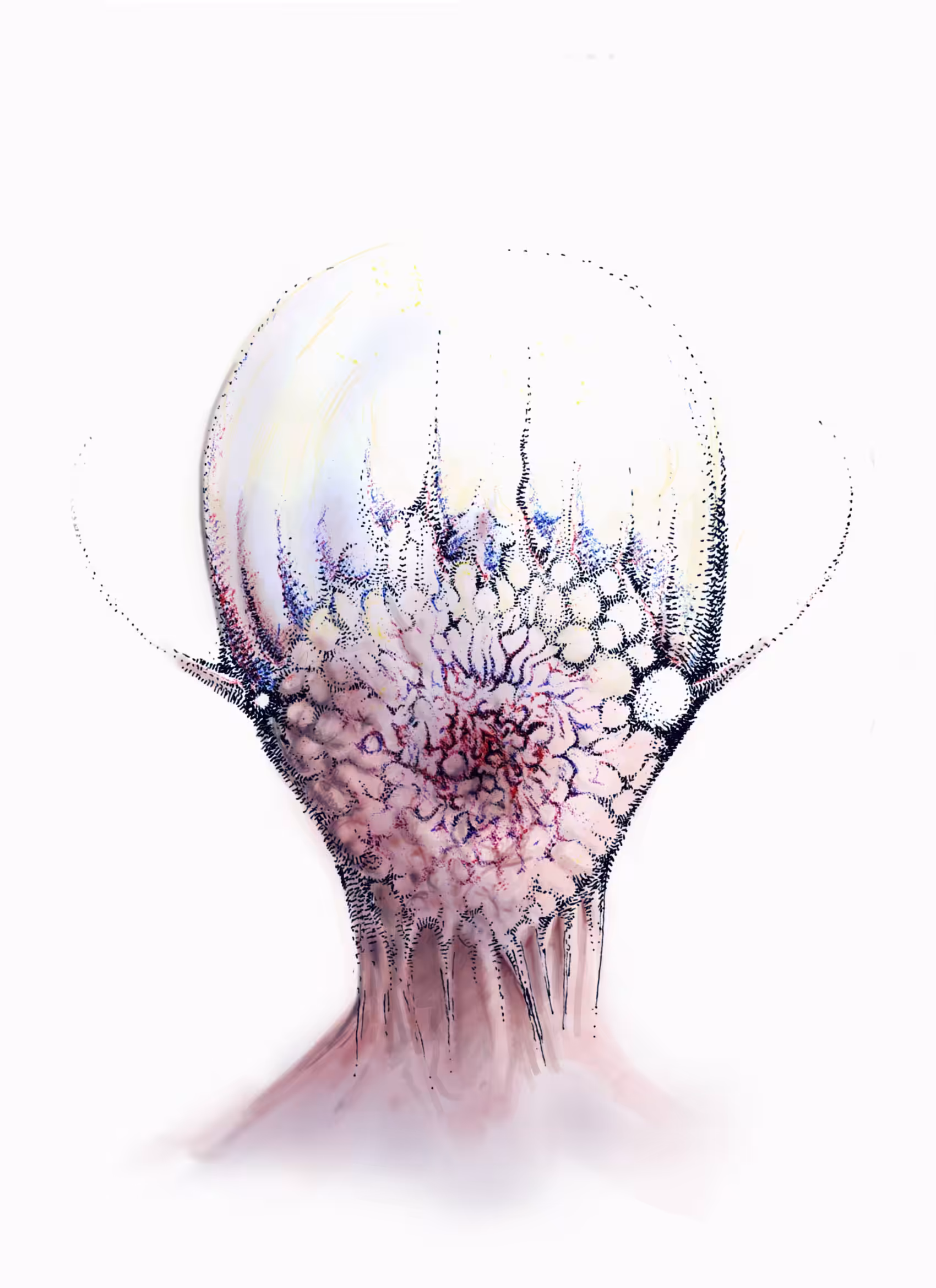 B31NG111