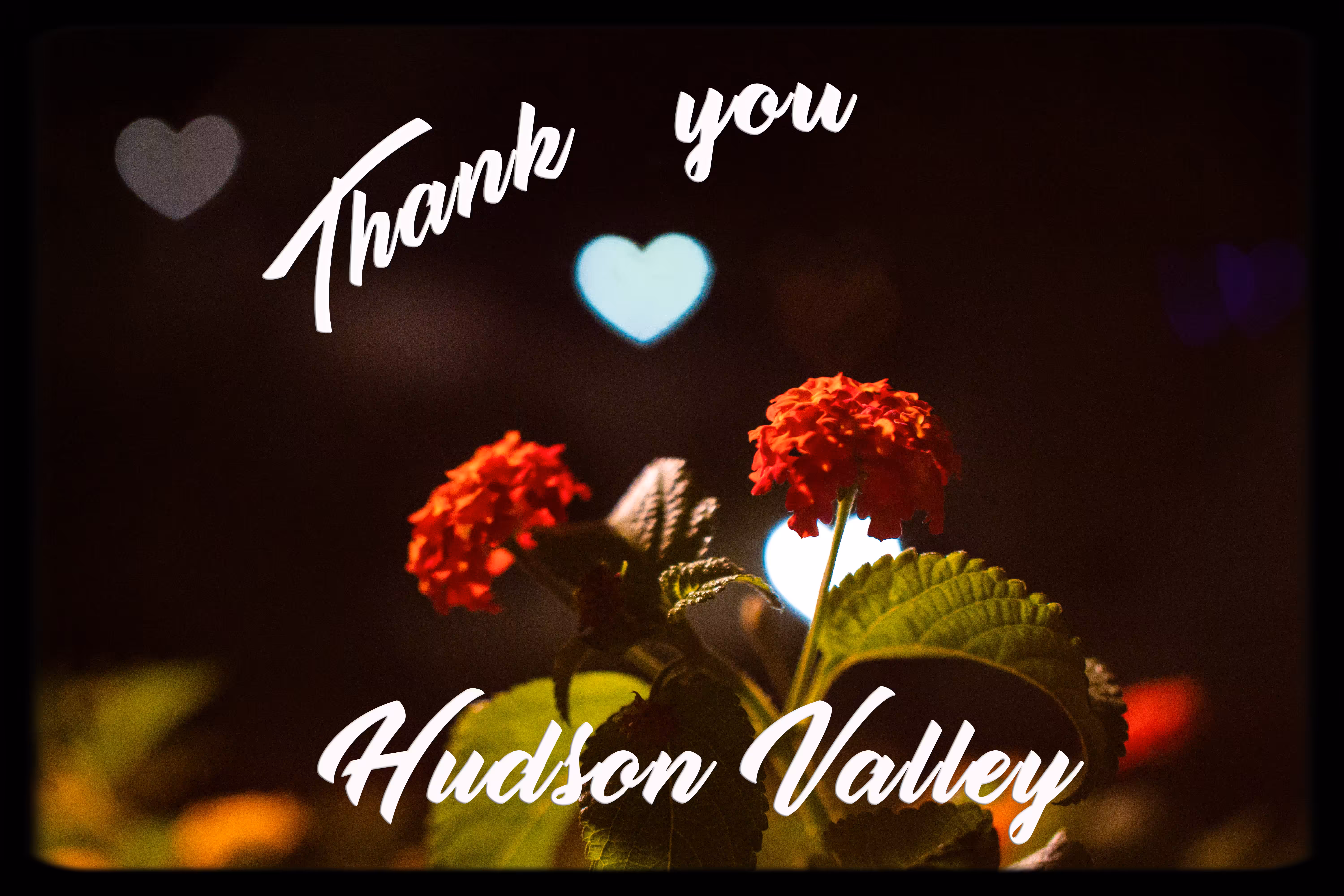 Thank You Hudson Valley