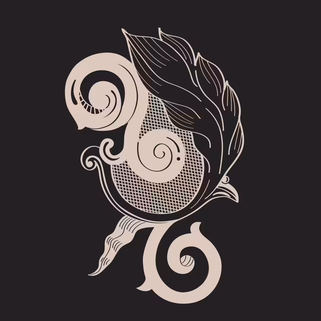 FXFXFX Insta 5-N