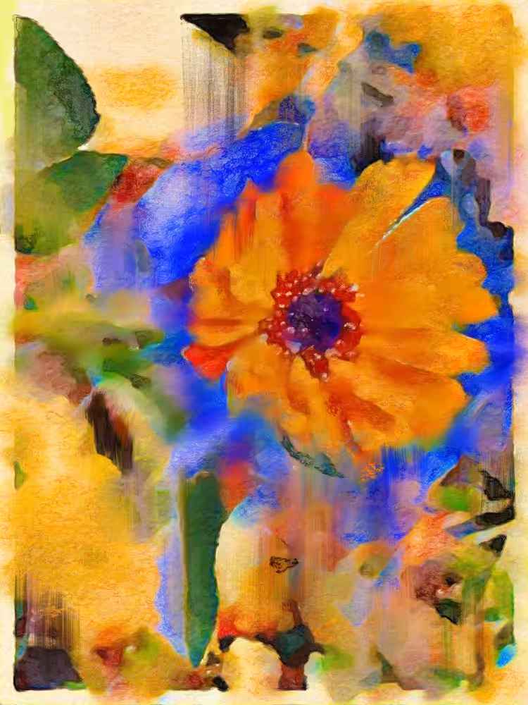 Sky Around an Orange Flower