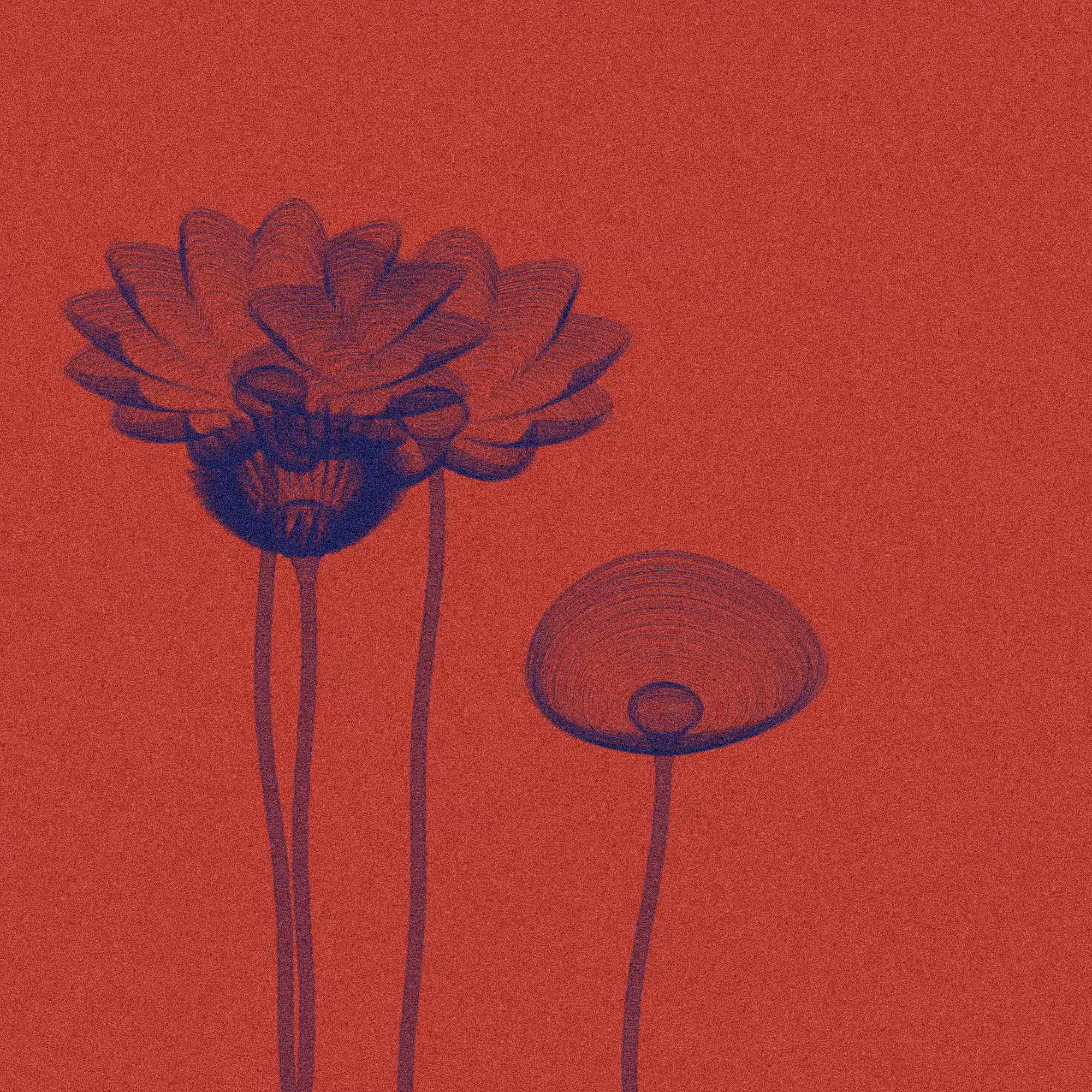 Code Flowers #63