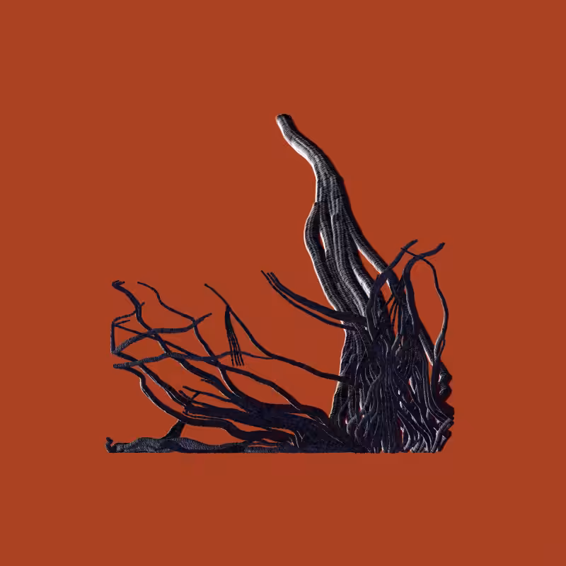 Root #15