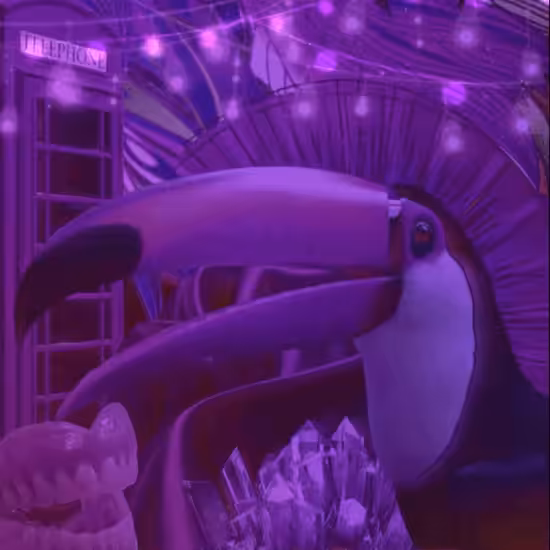 Sam The Toucan