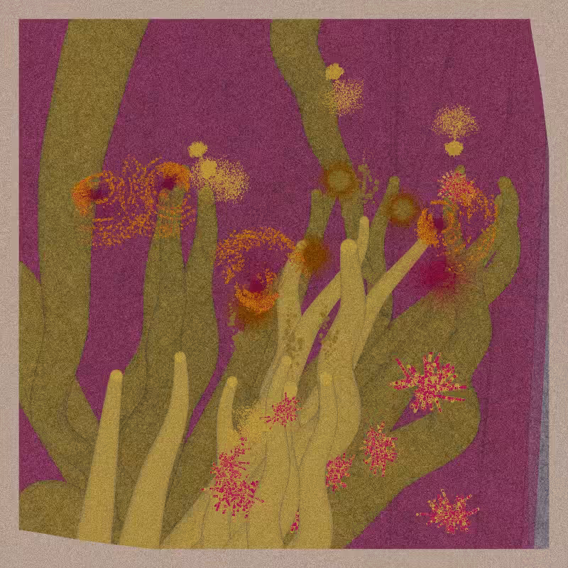 Sea Anemone #46