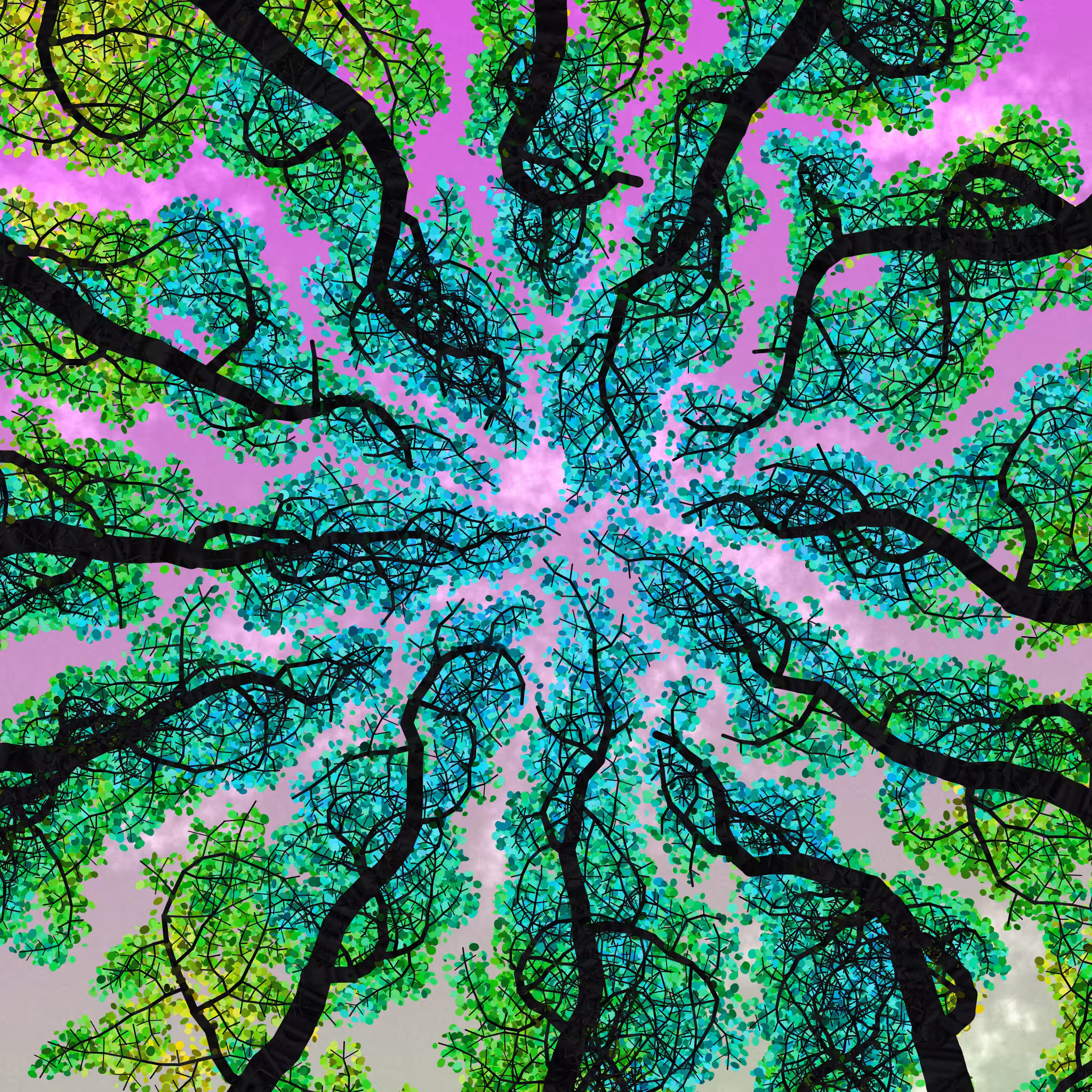 Tree Skyness #234