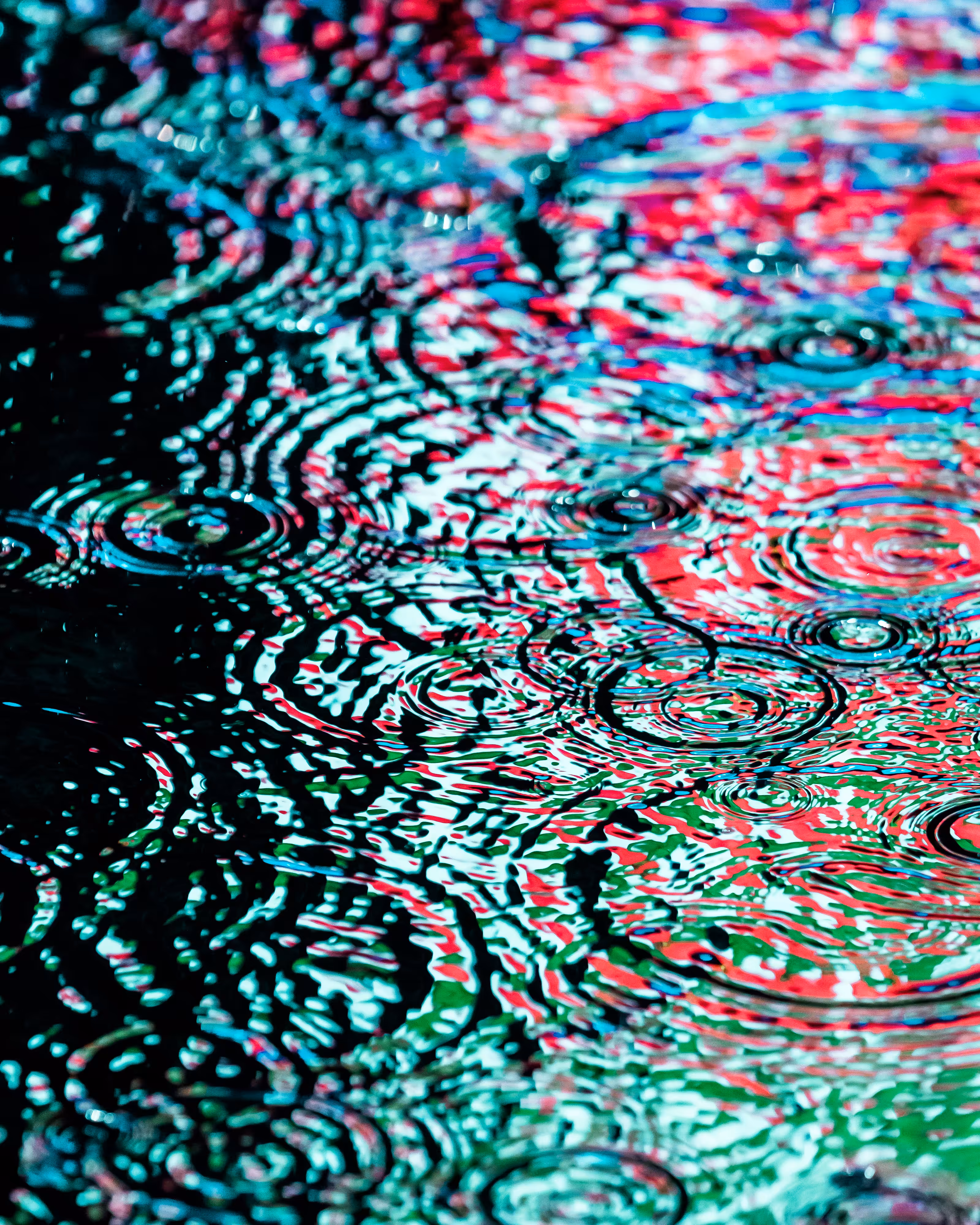 DRIP #61