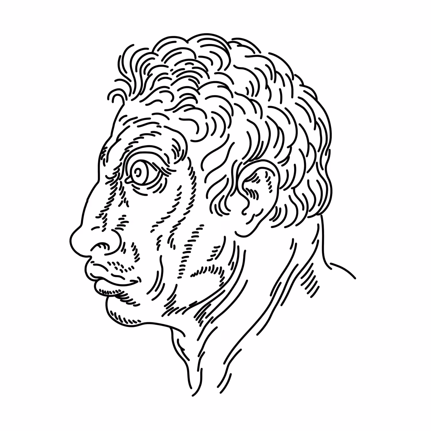 Becoming Bull
