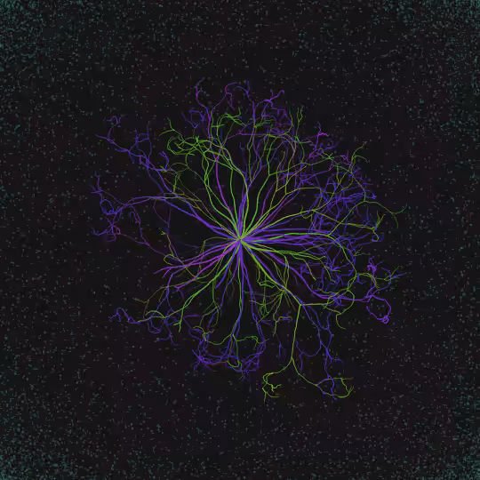 nuclear decay #1