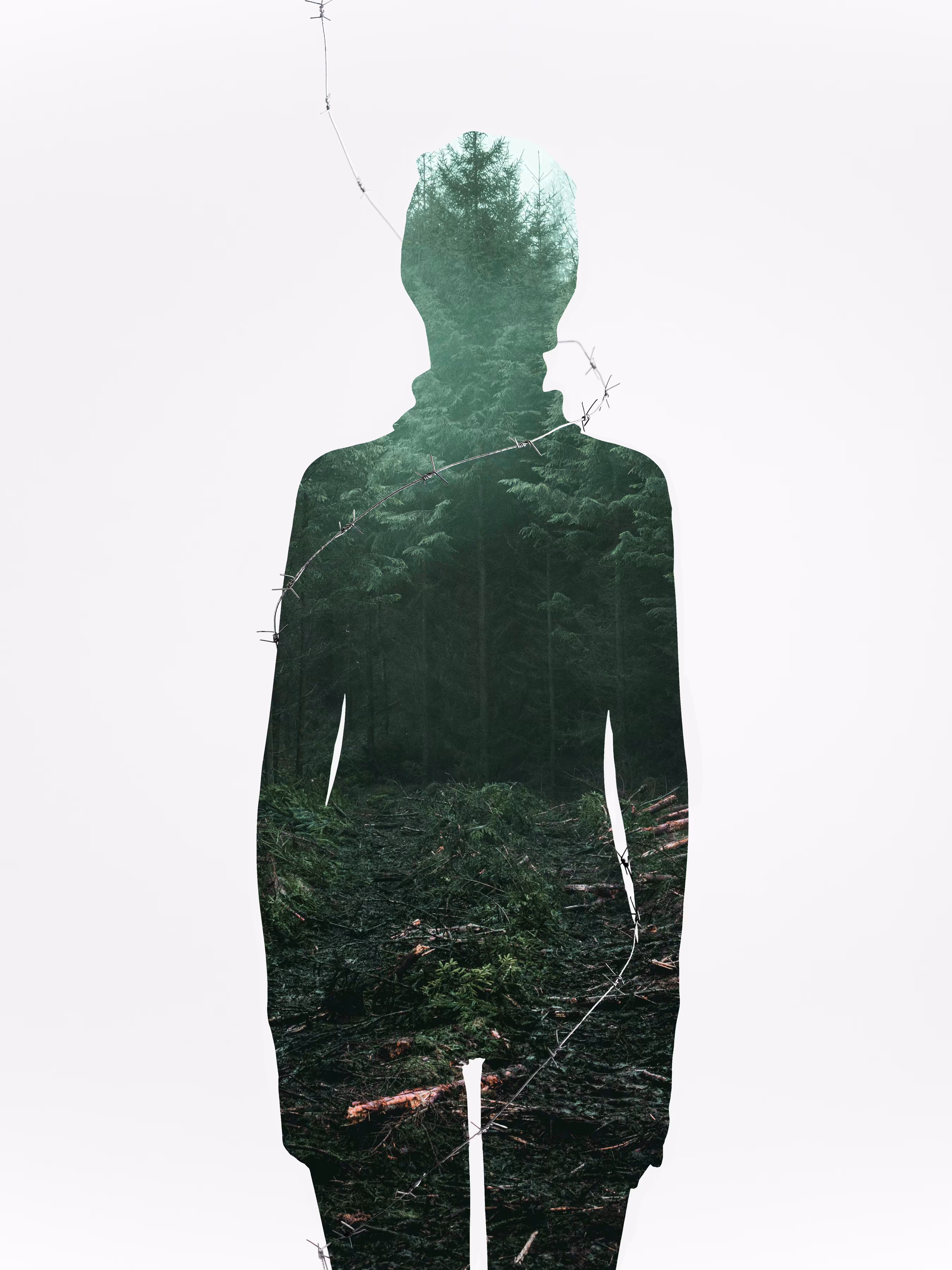 Self-Destruction