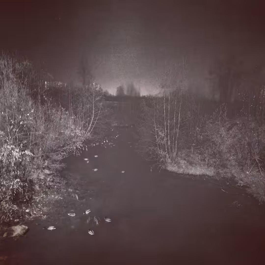 VIII