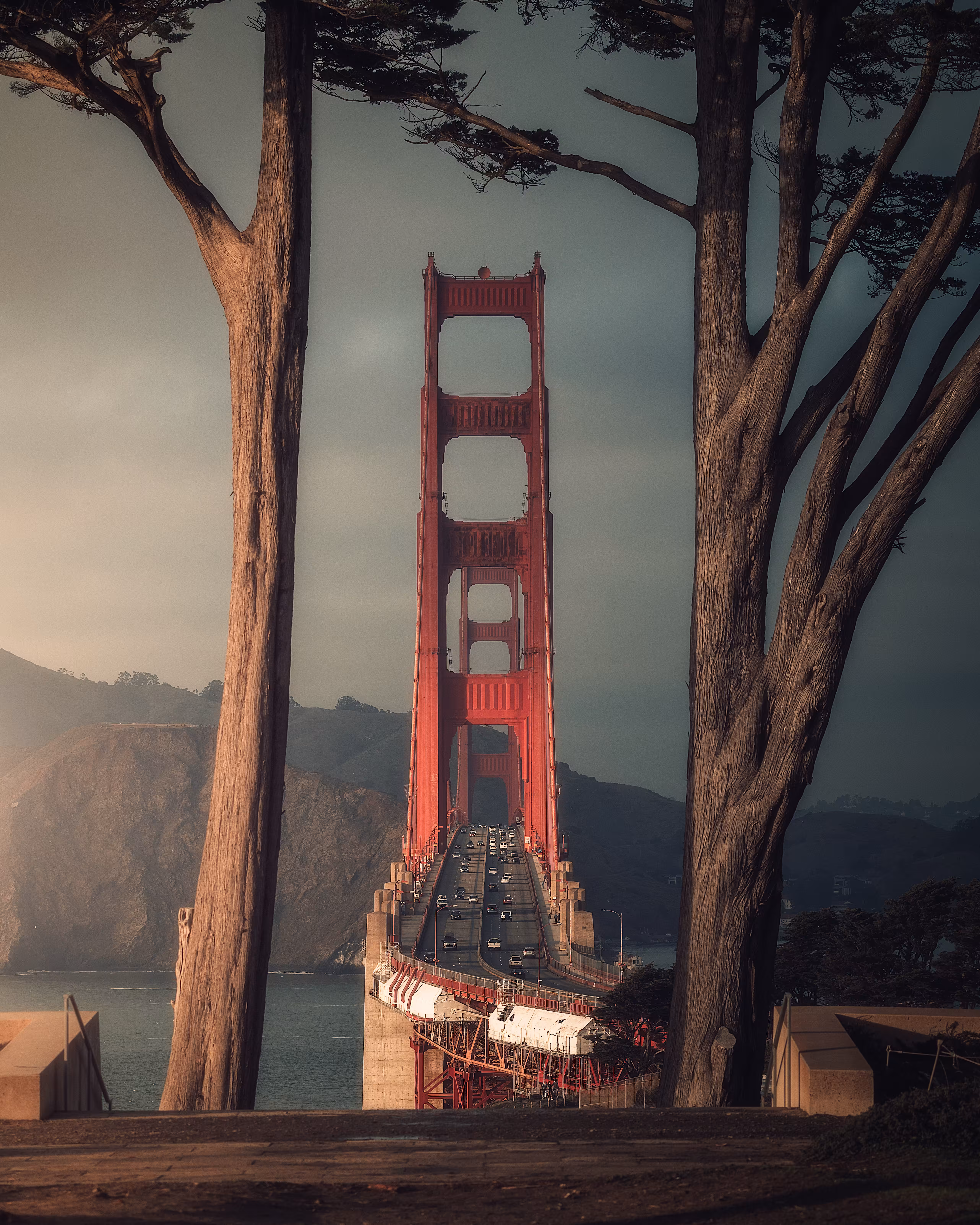 Bay Beginnings #23 // Between the Trees