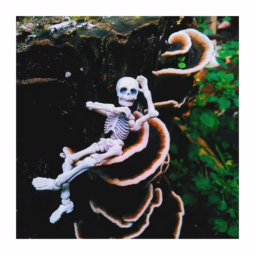 Chillin Mushroom