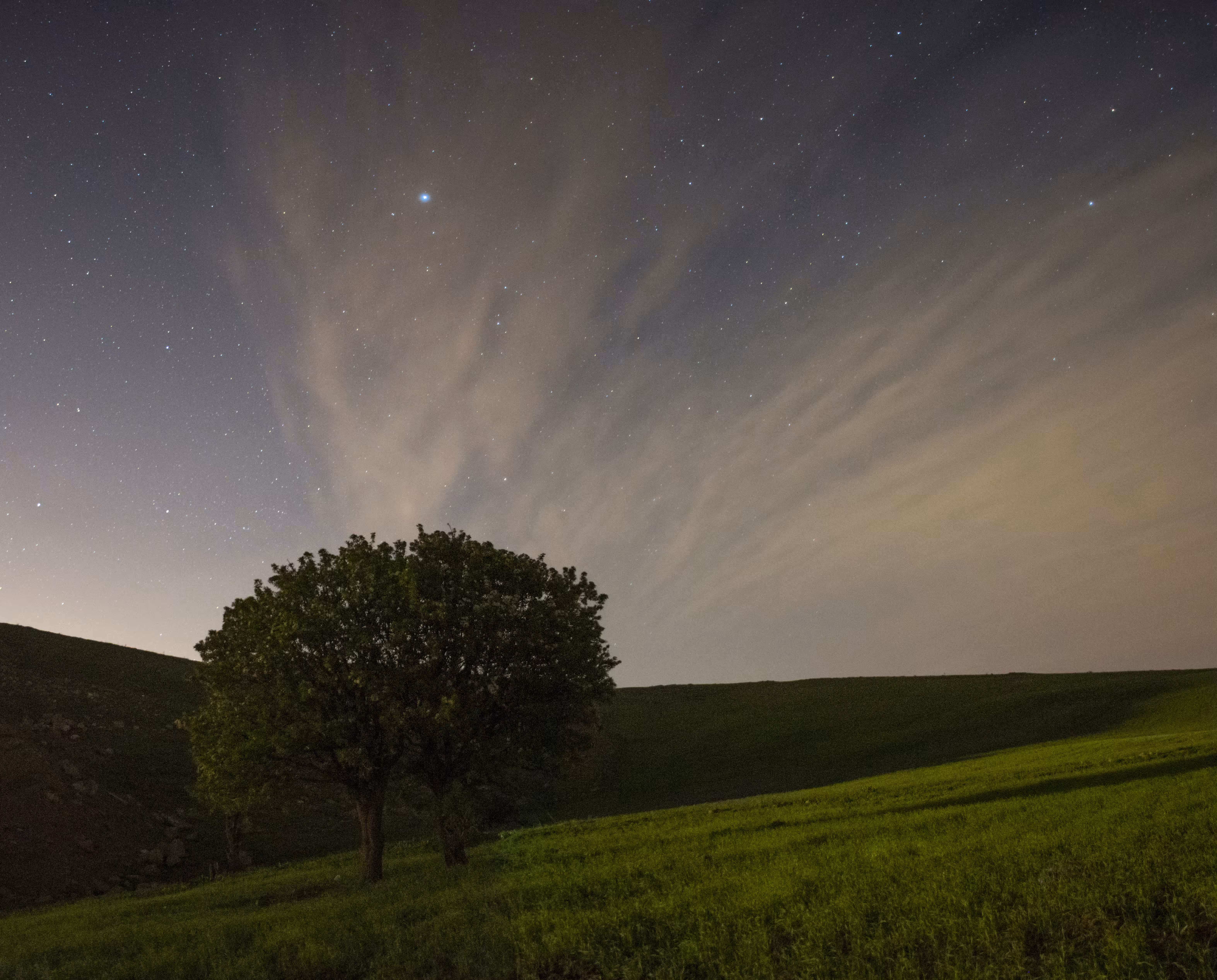 A Green Night!