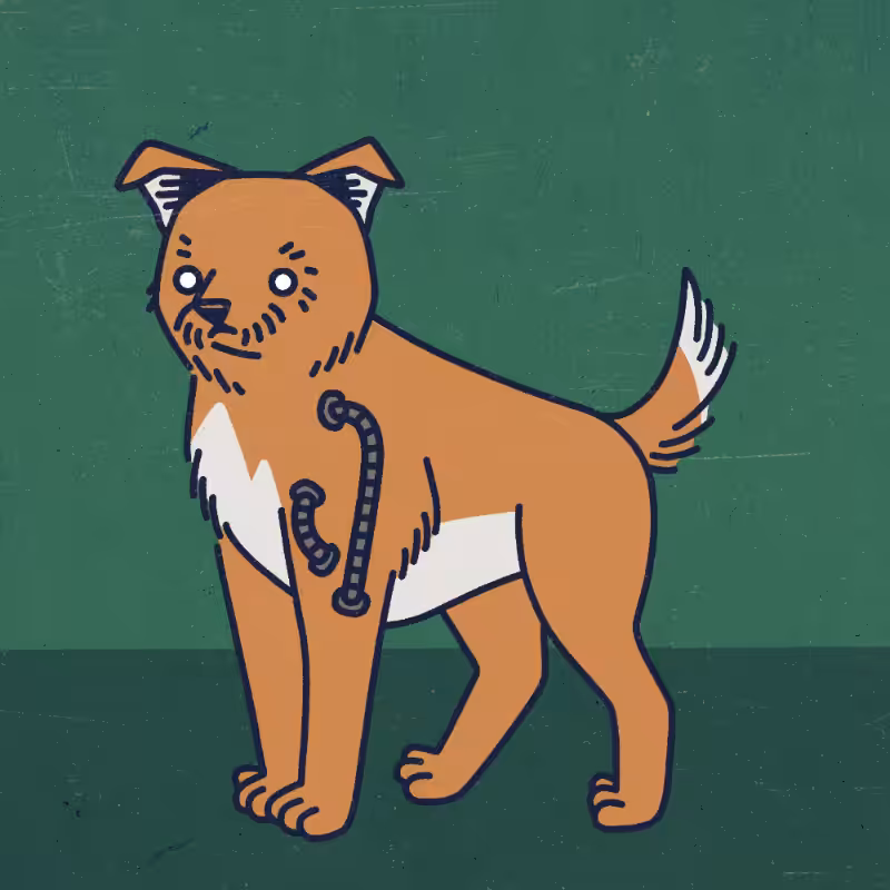 future_dogs #197