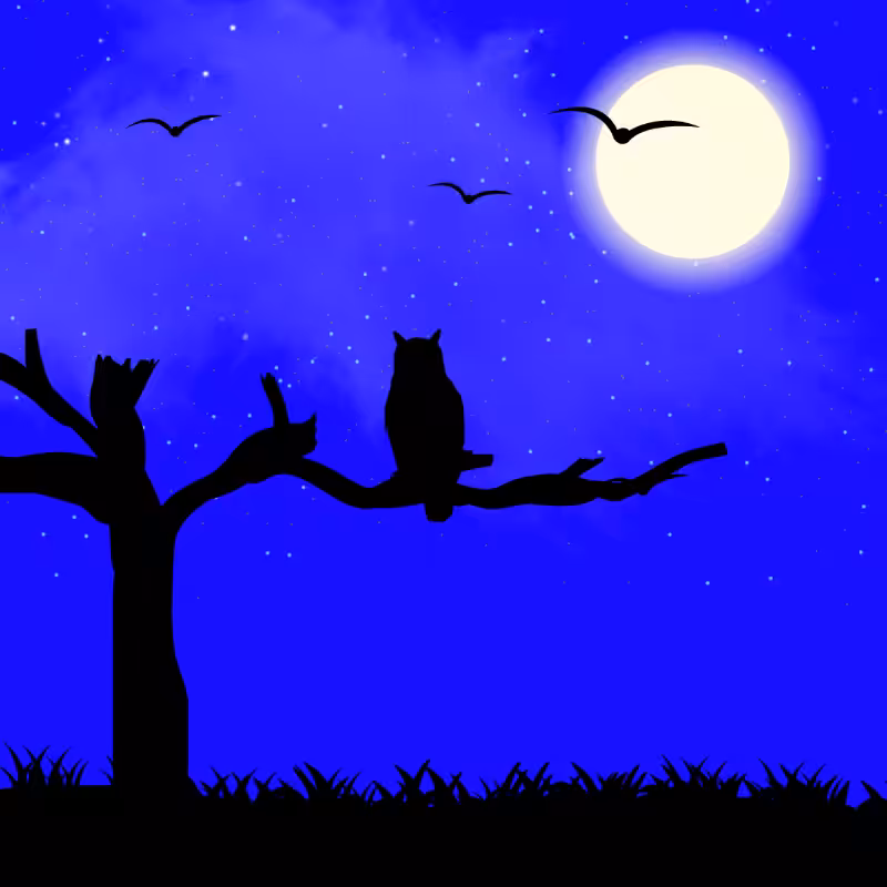 We Care...Owl #13