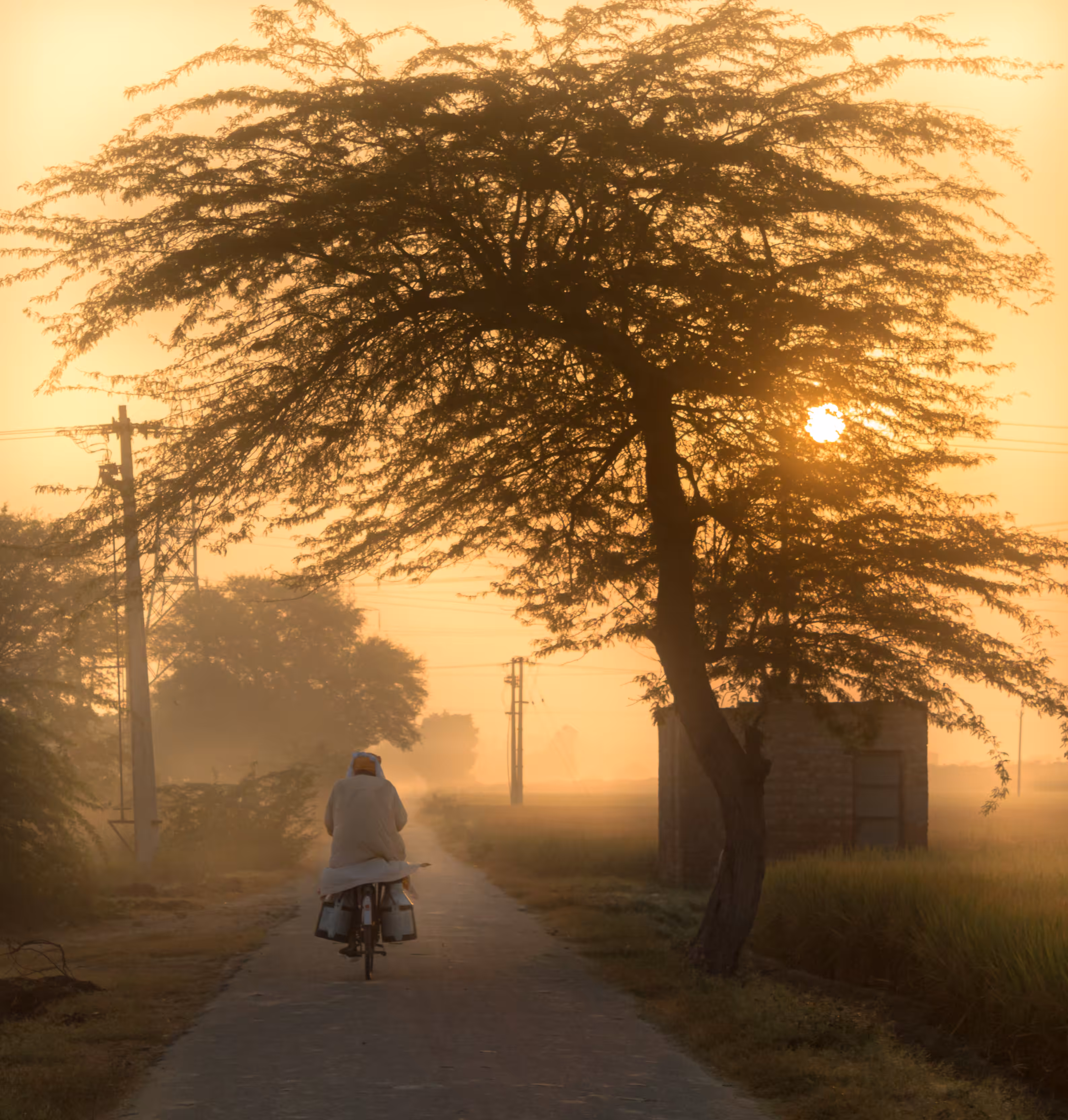 Colored Street Photos: Pedals Through the Morning Light