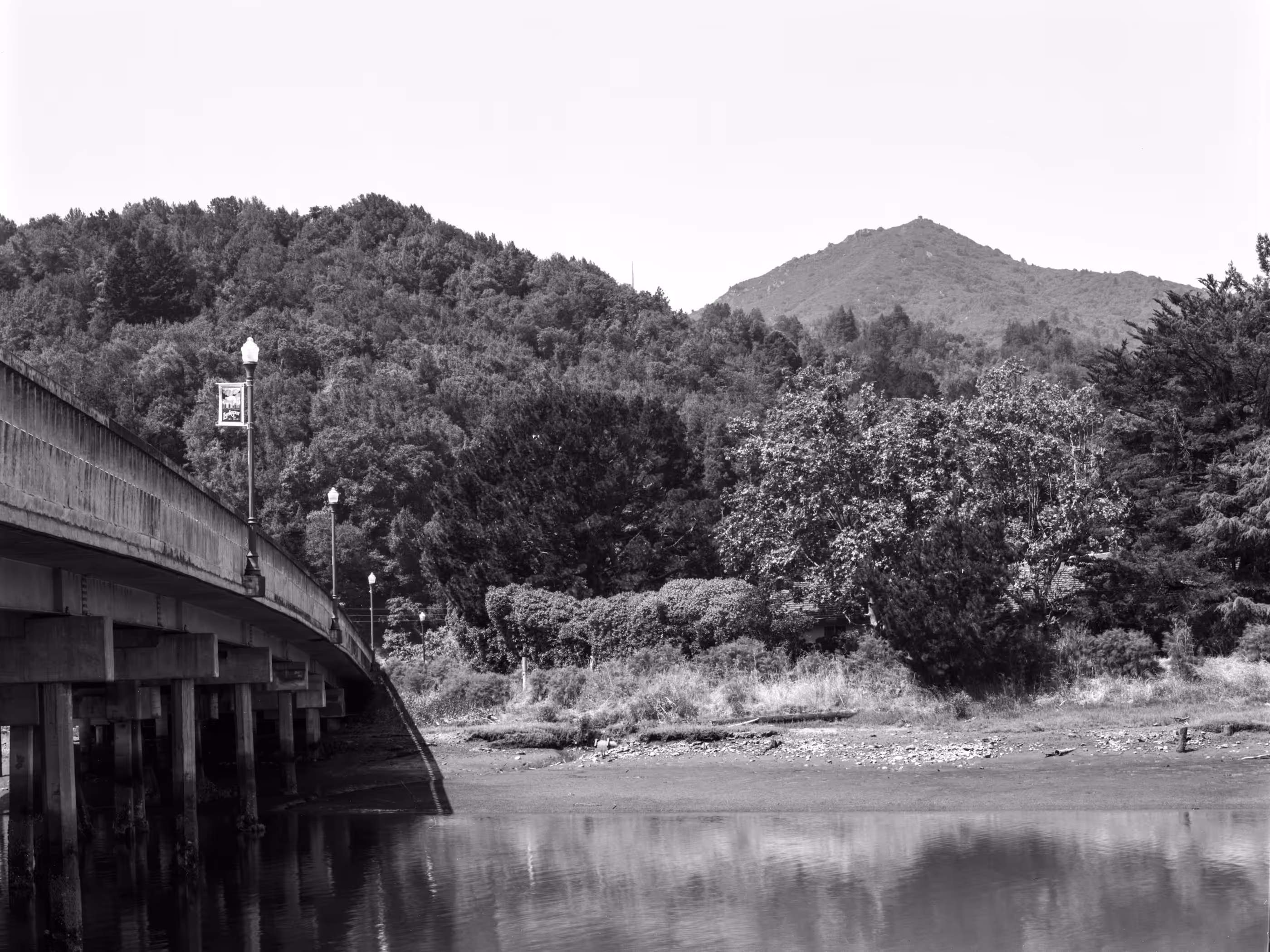 Mt. Tamalpais from Corte Madera Creek