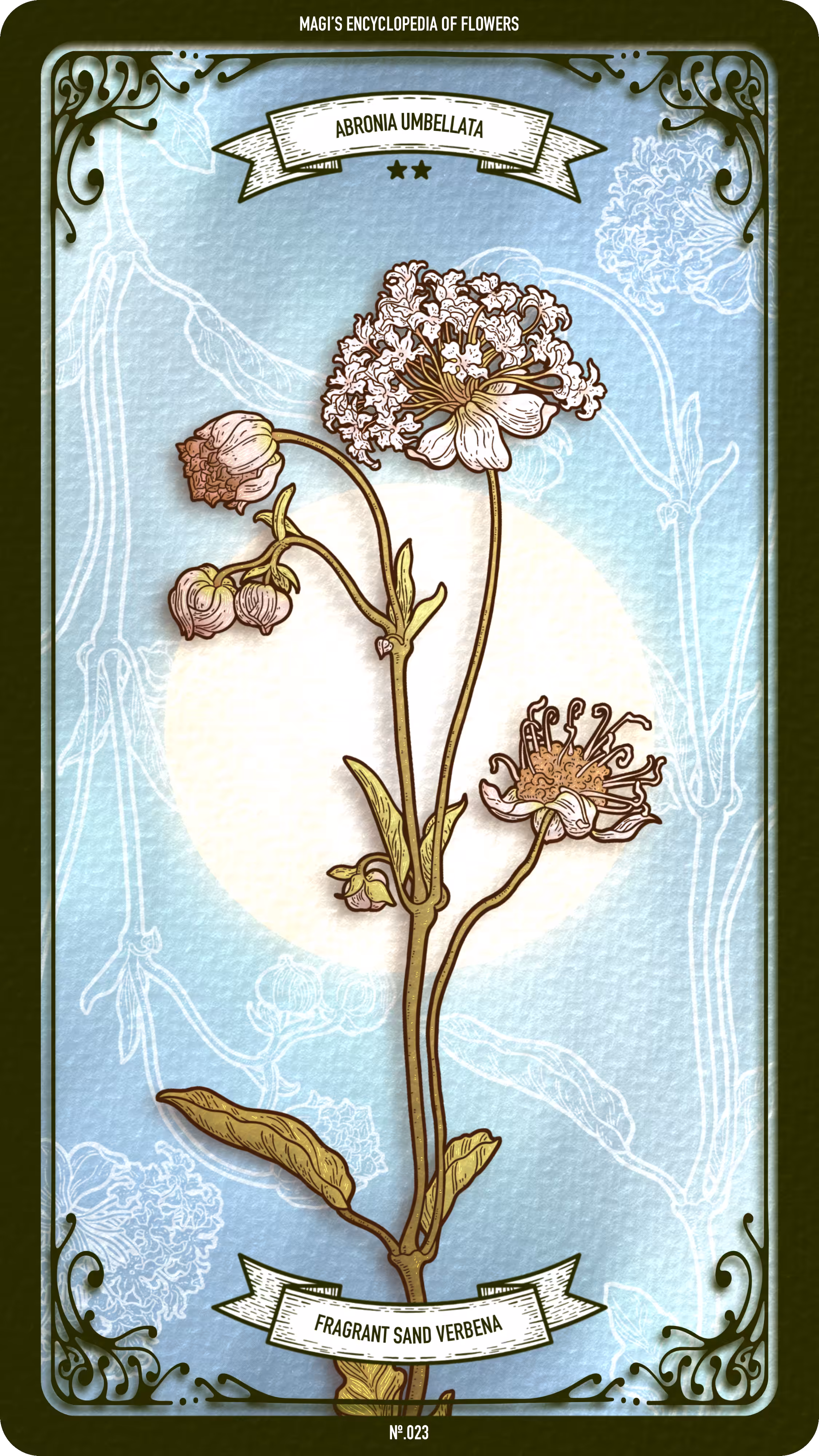 023 Fragrant Sand Verbena