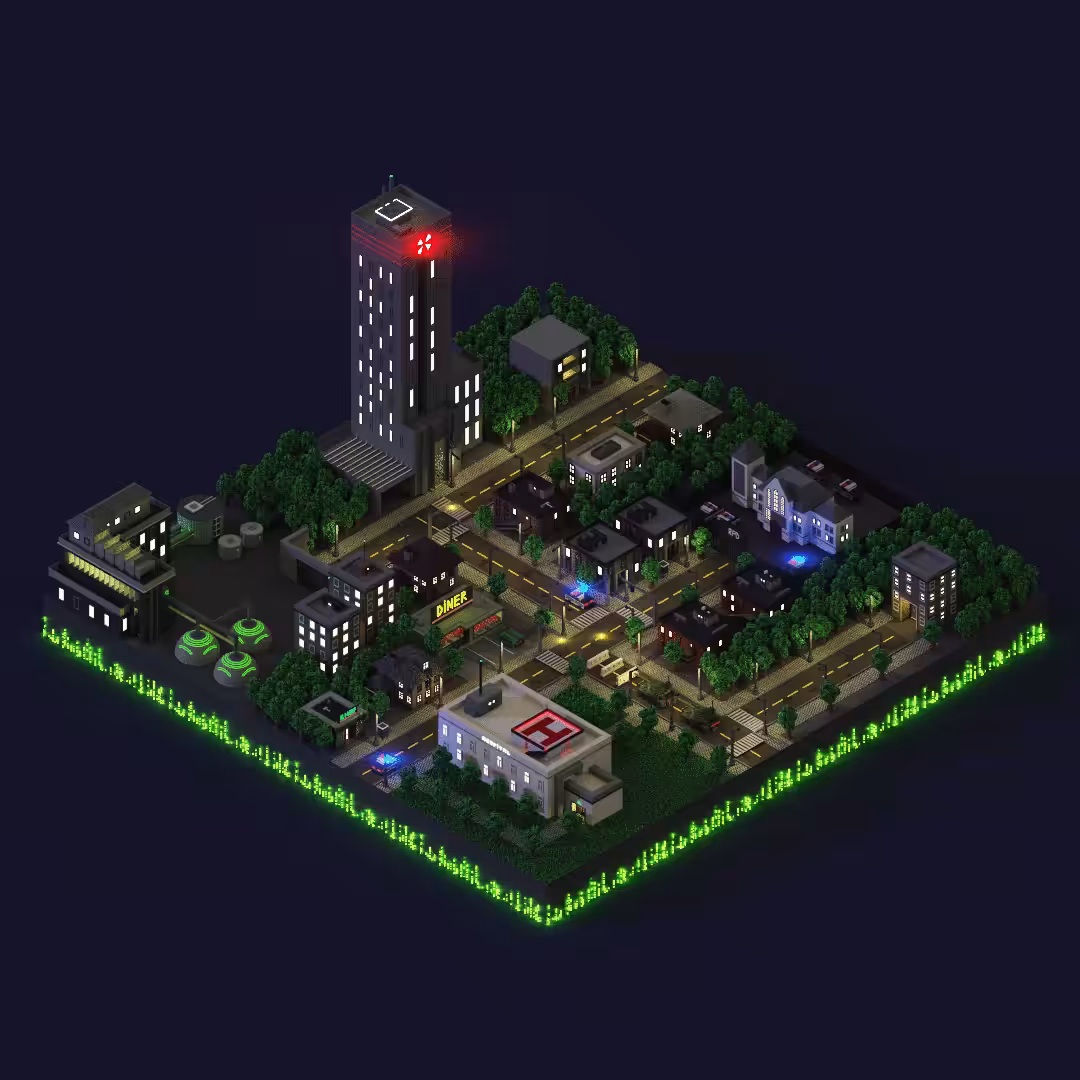 Raccoon city