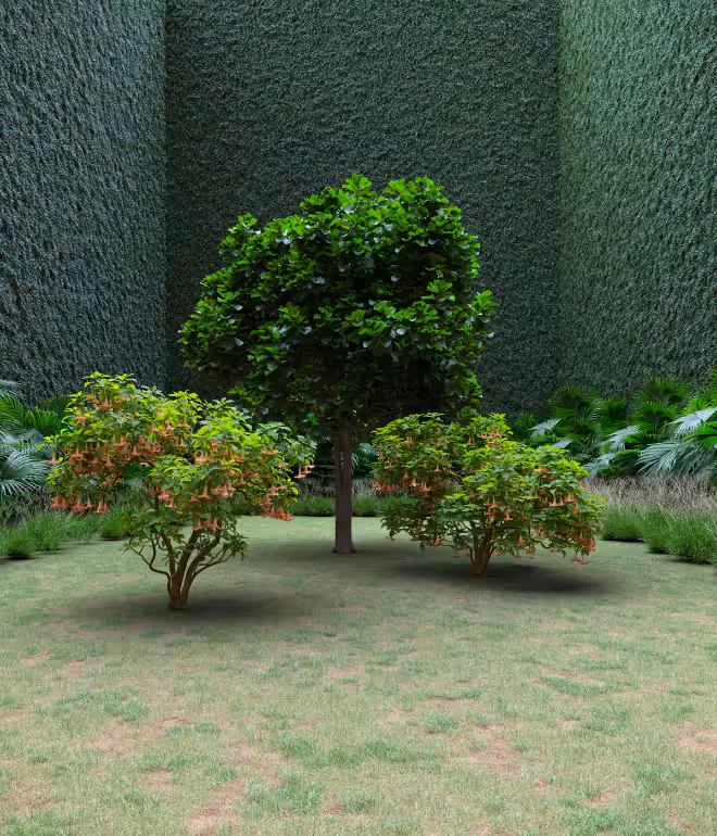 Garden of Imagination #54