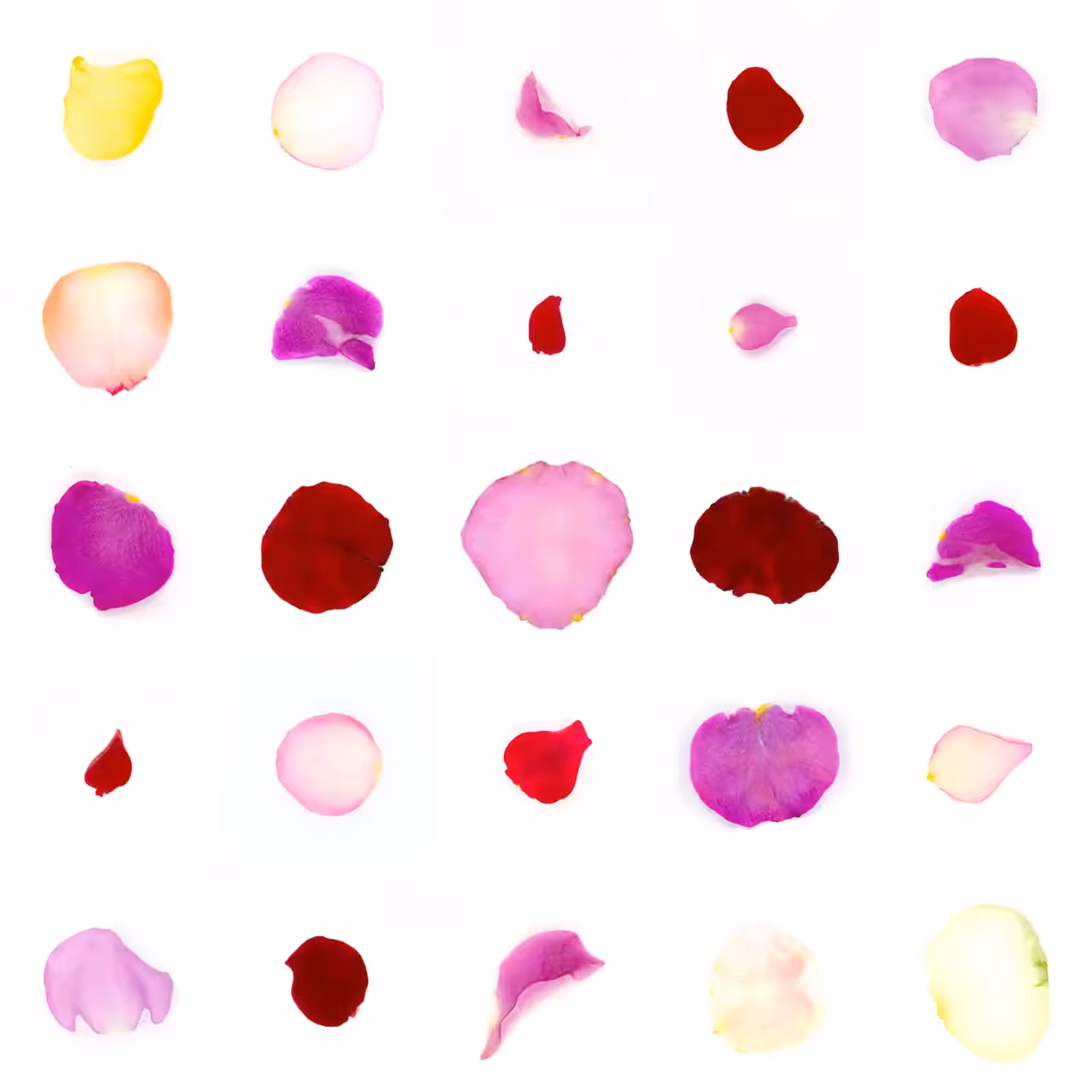 Infinite Petals 5x5#336