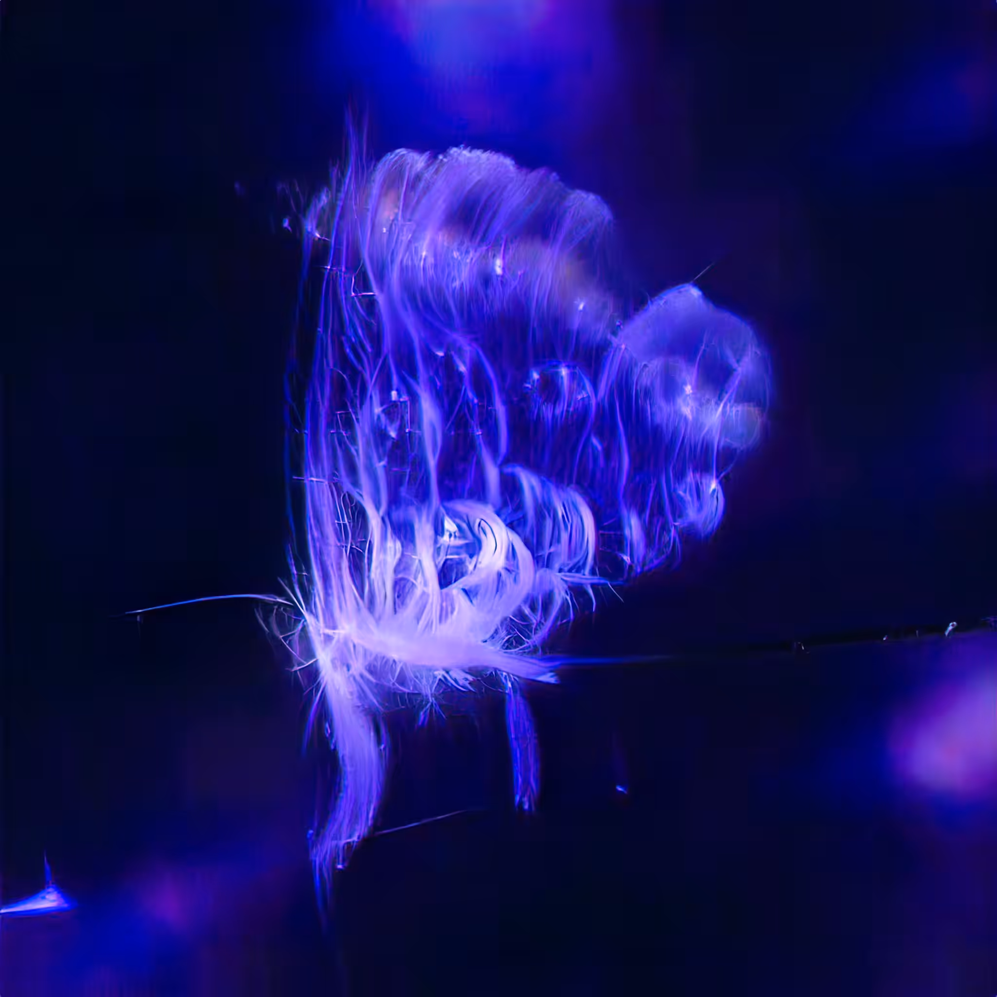 Emergent Finale 00076