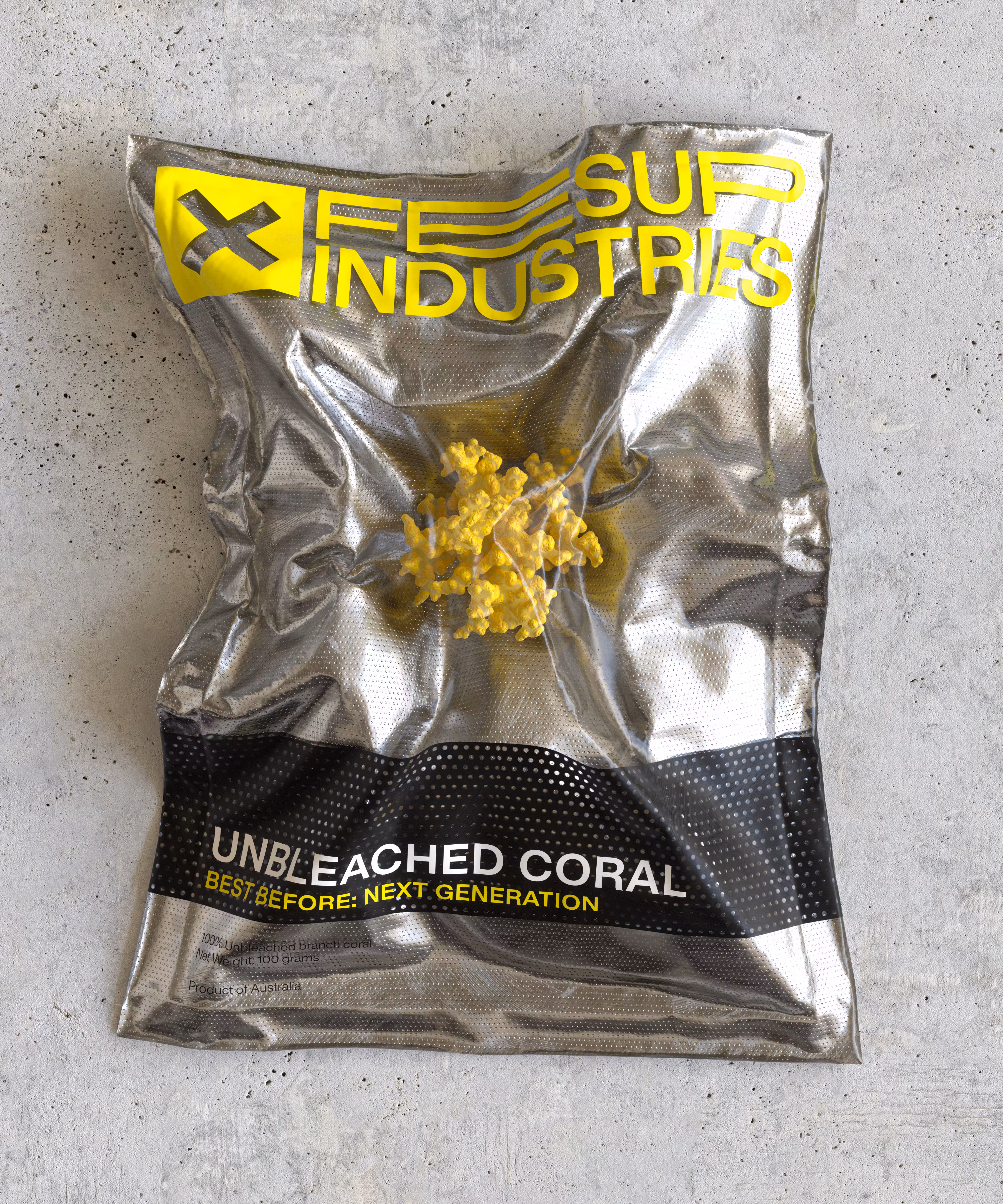 Unbleached Coral