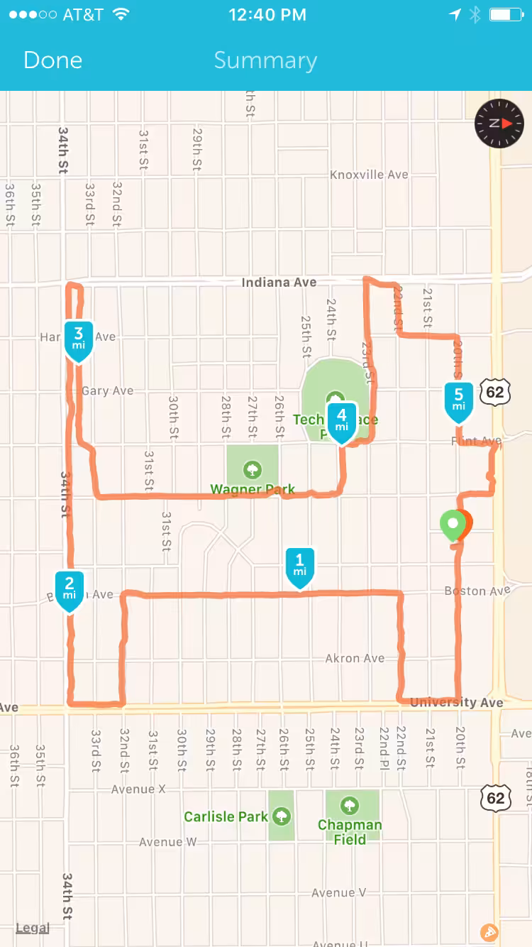 dog run #1