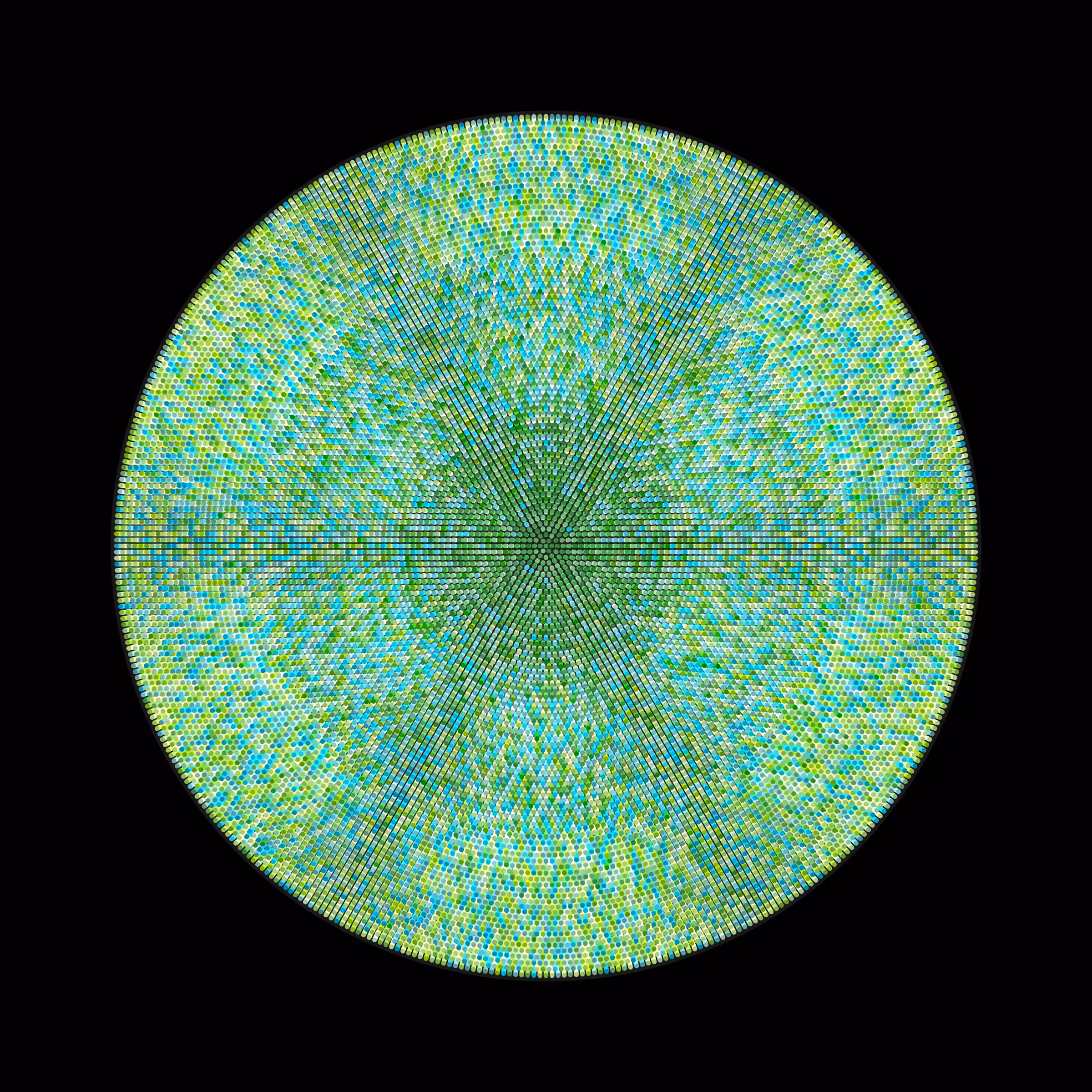 Transitions #1604