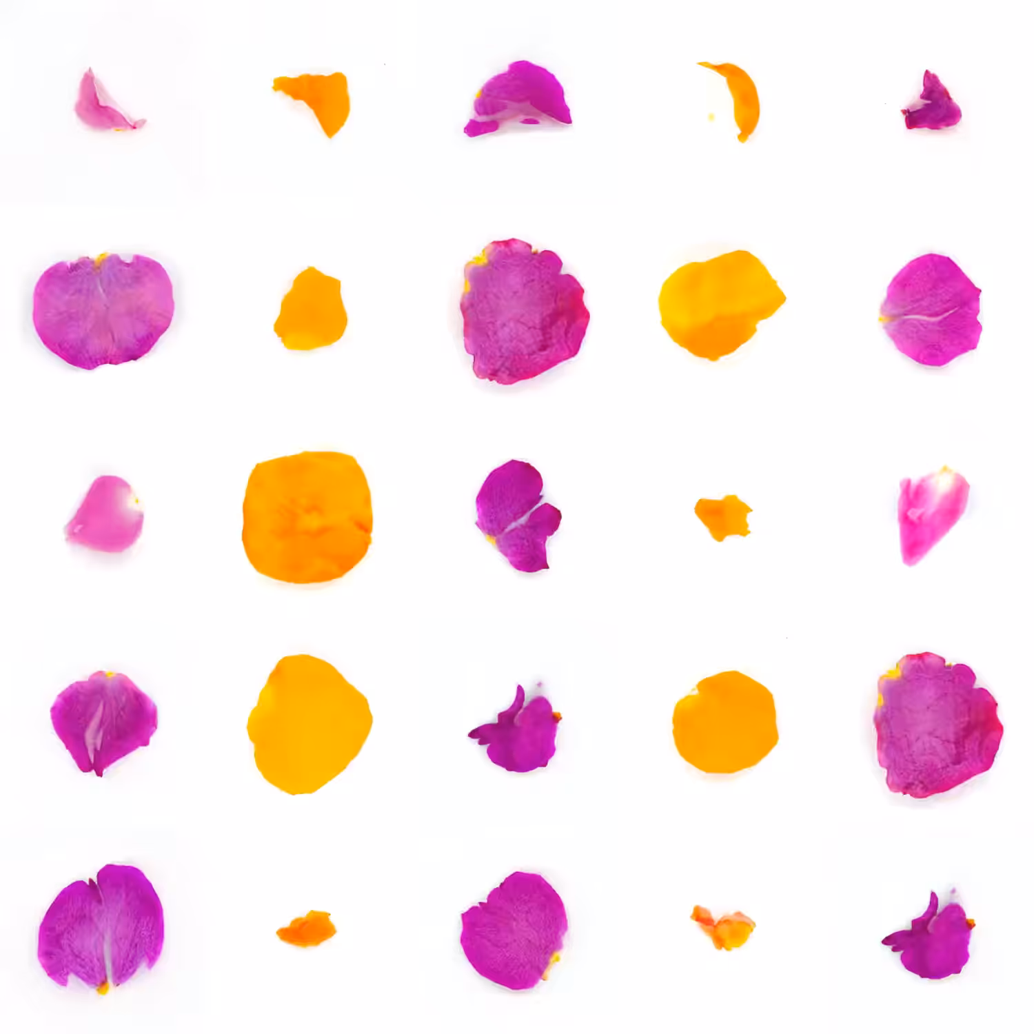 Infinite Petals 5x5#20248