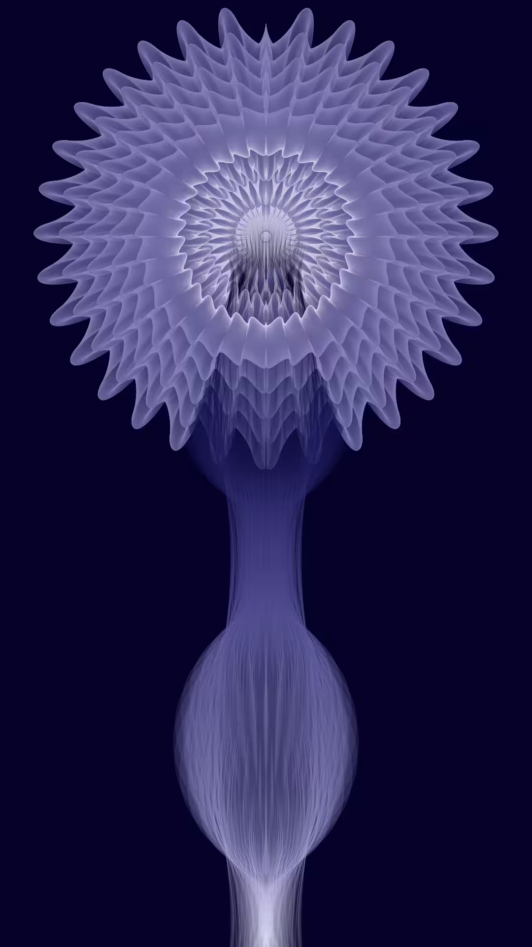 Blossom #2