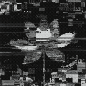 b̶r̷o̶k̷e̶n̷ t̶h̷i̶n̷g̶s̷: l̶o̷t̶u̷s̷