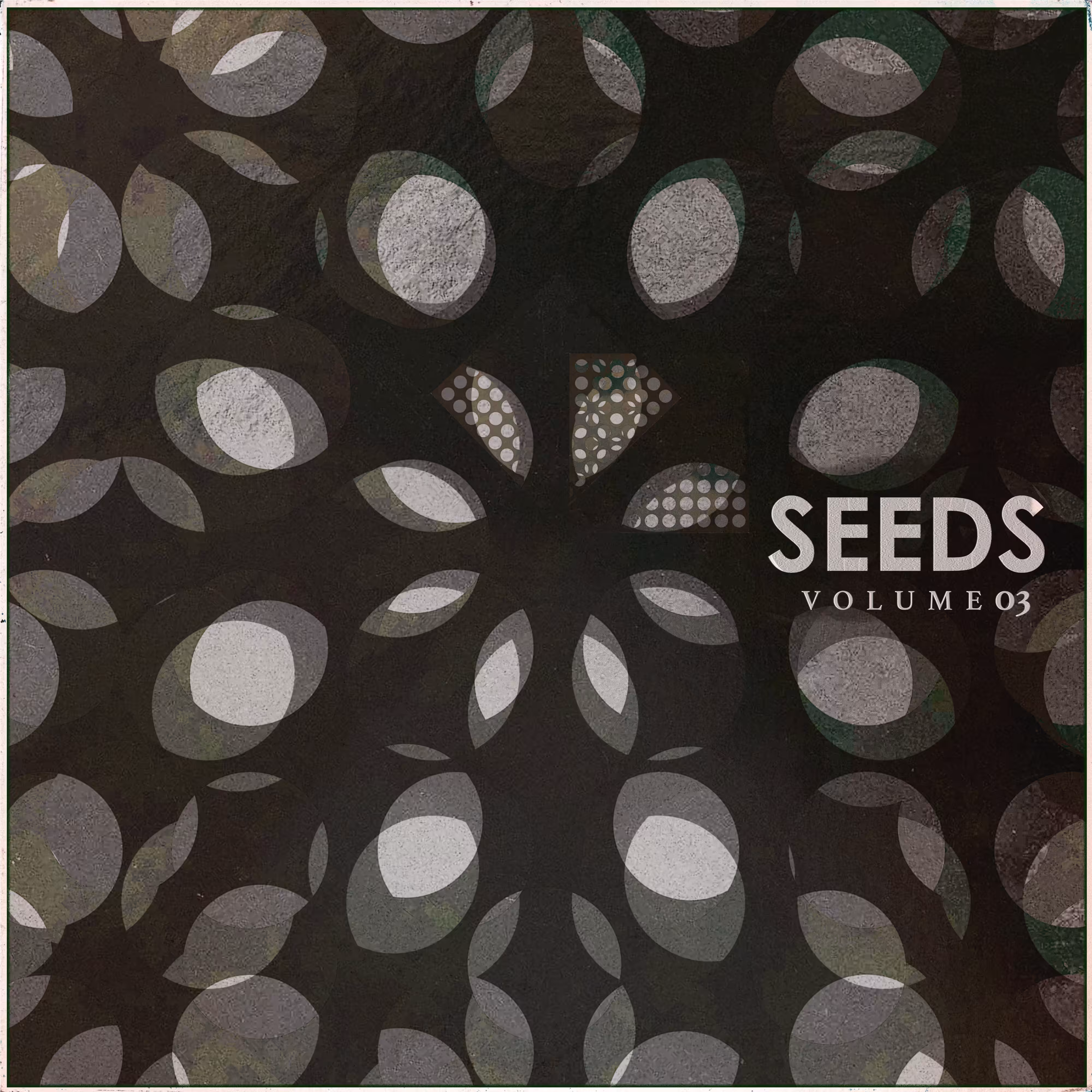 seed #28