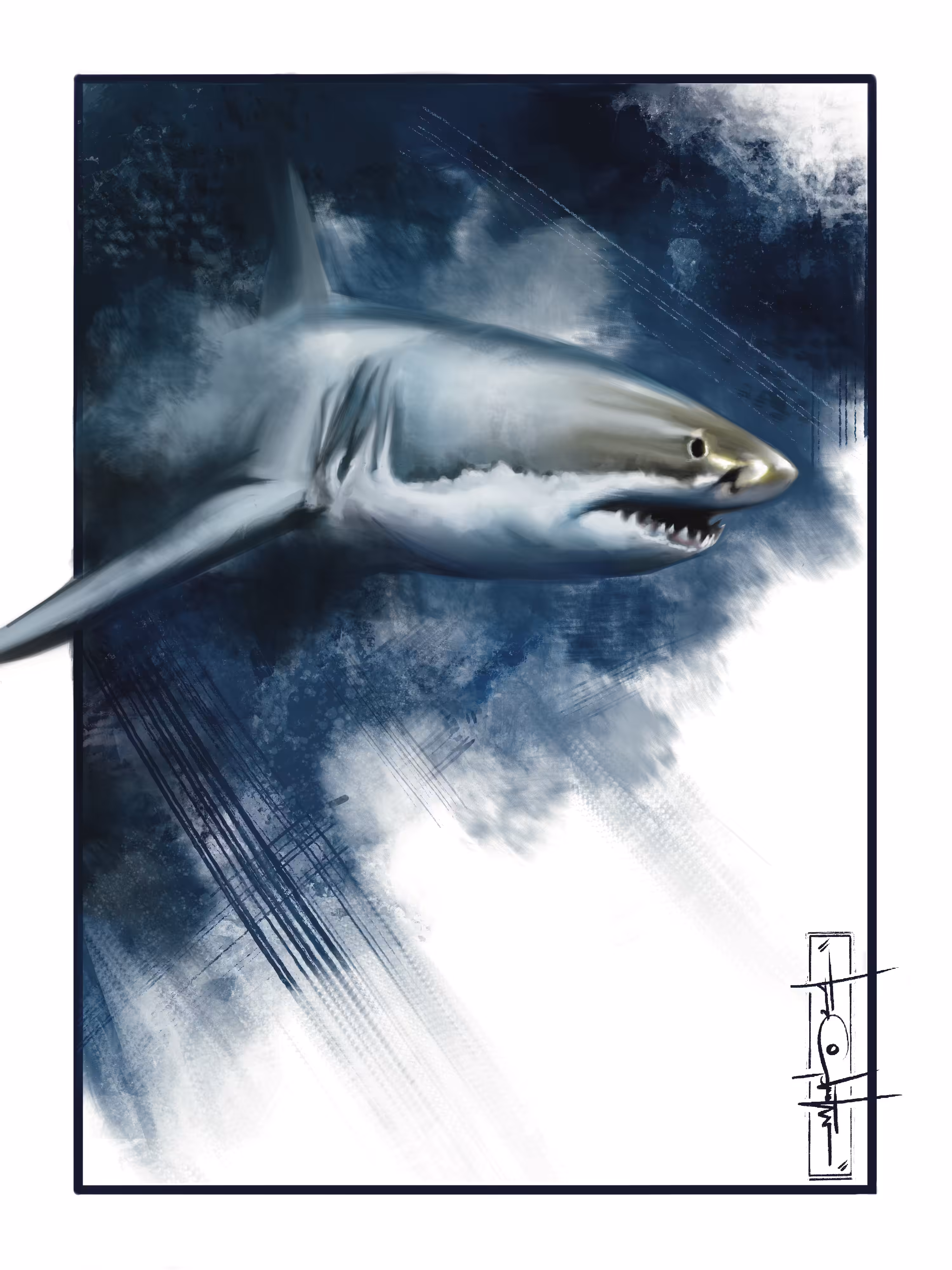 Shark