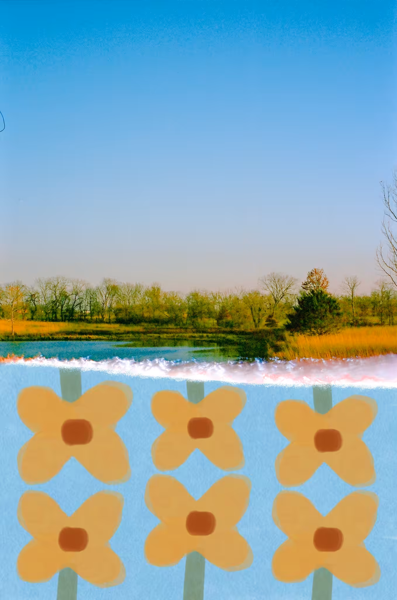 First of the Roll: Flower Mirror