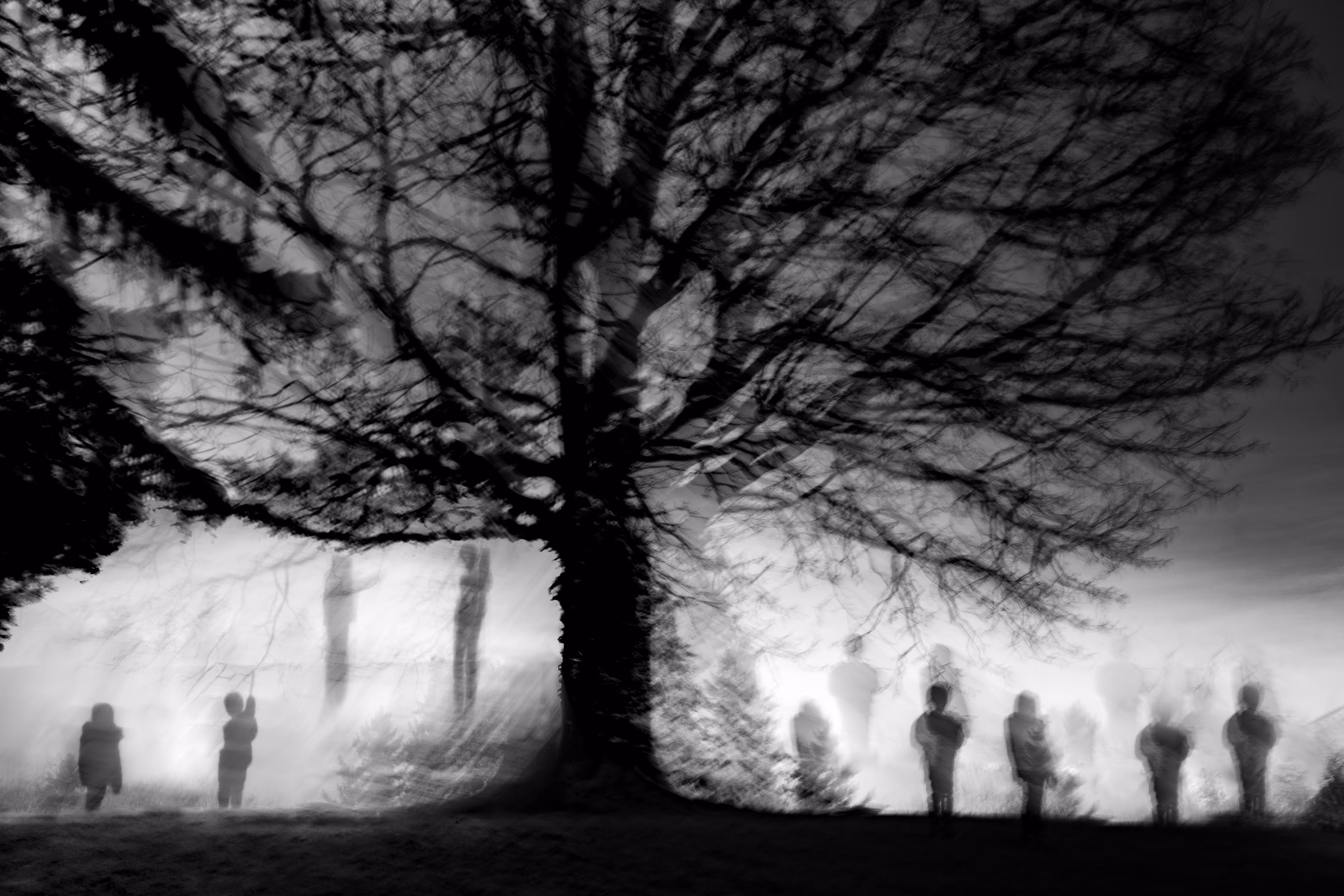 Children Of The Wailing Tree