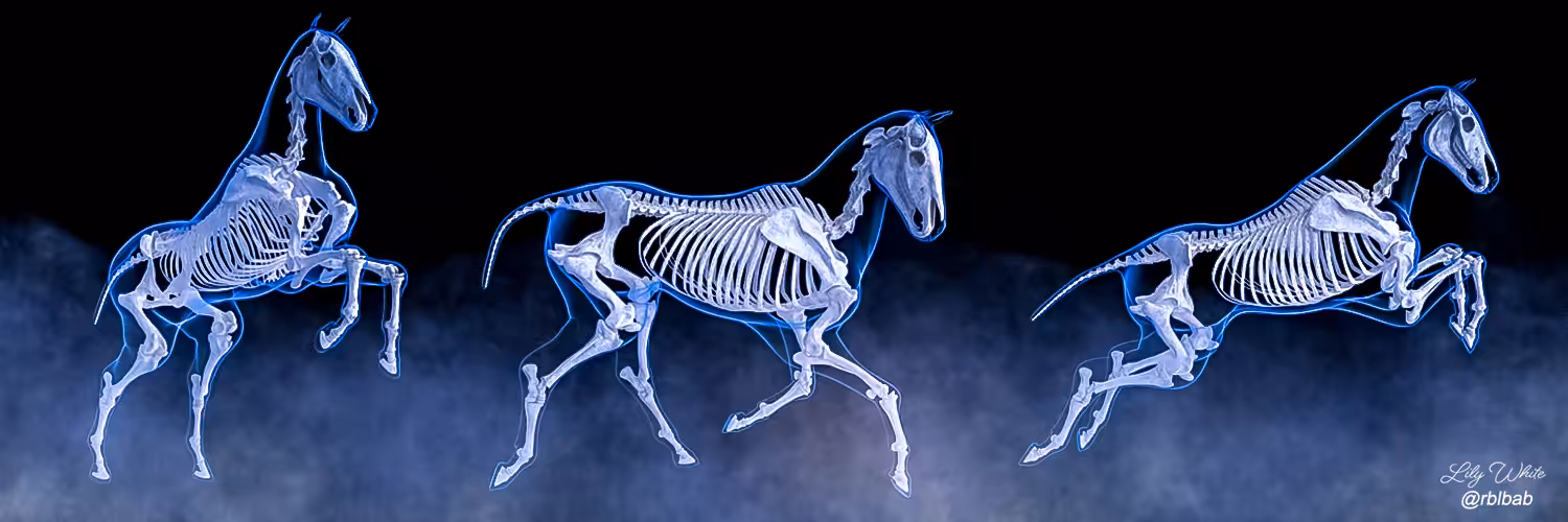 Social Media Banner 19