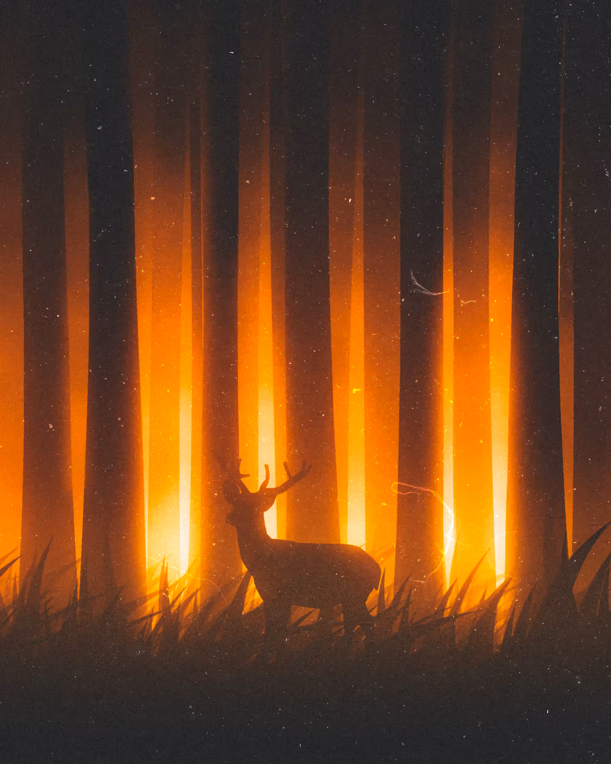 Warmth