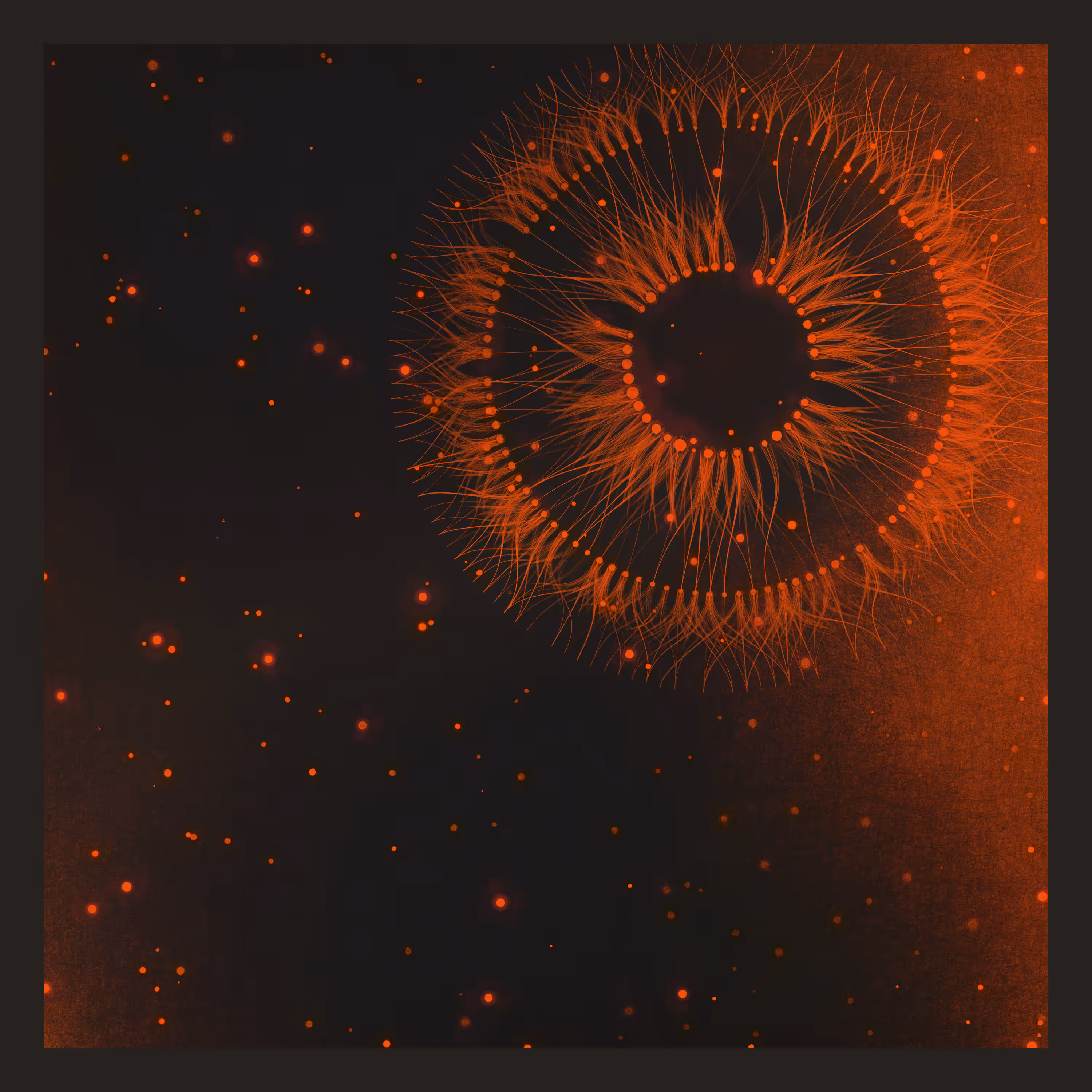 Effluence #186